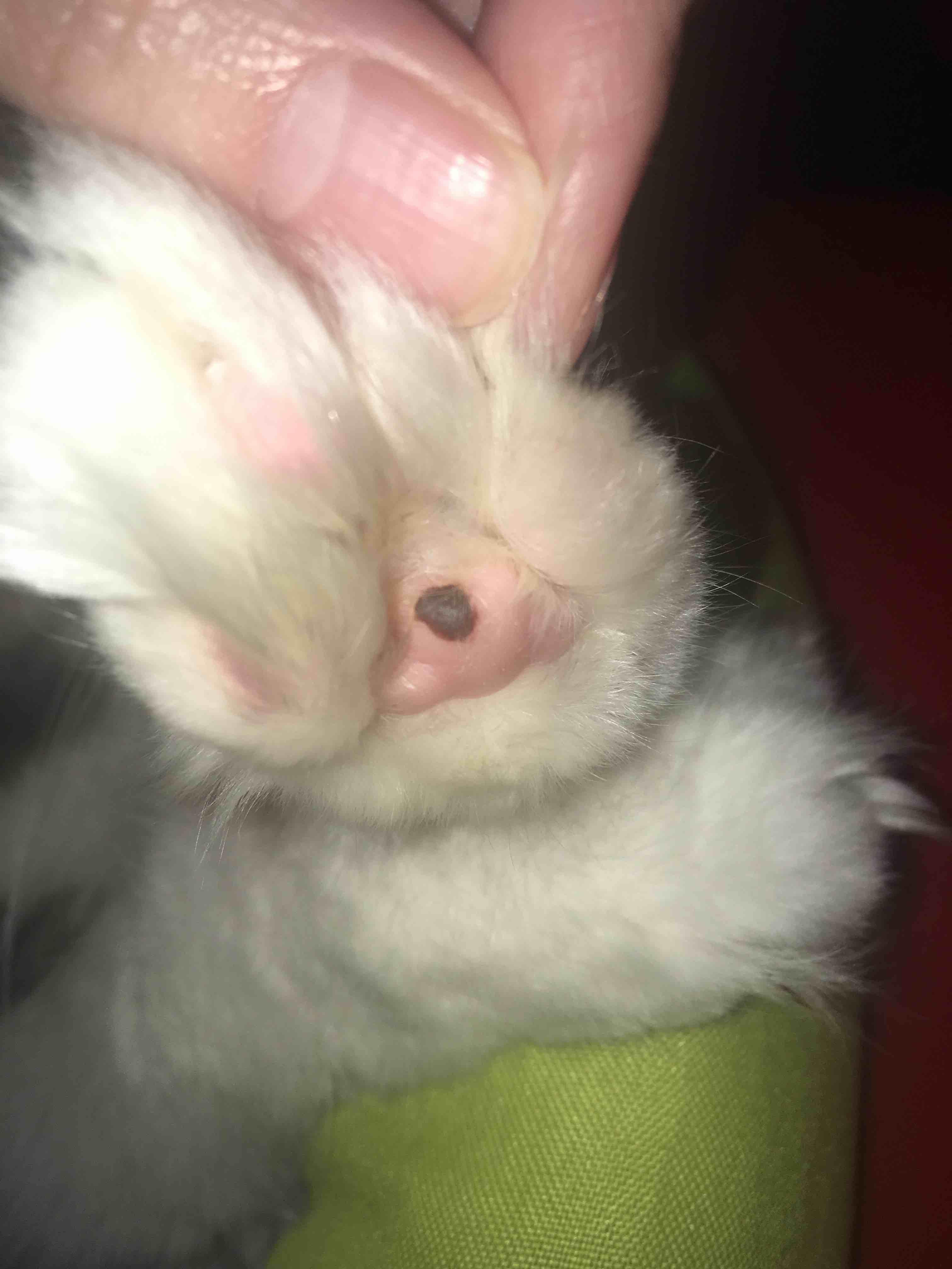 Question details sensitive content