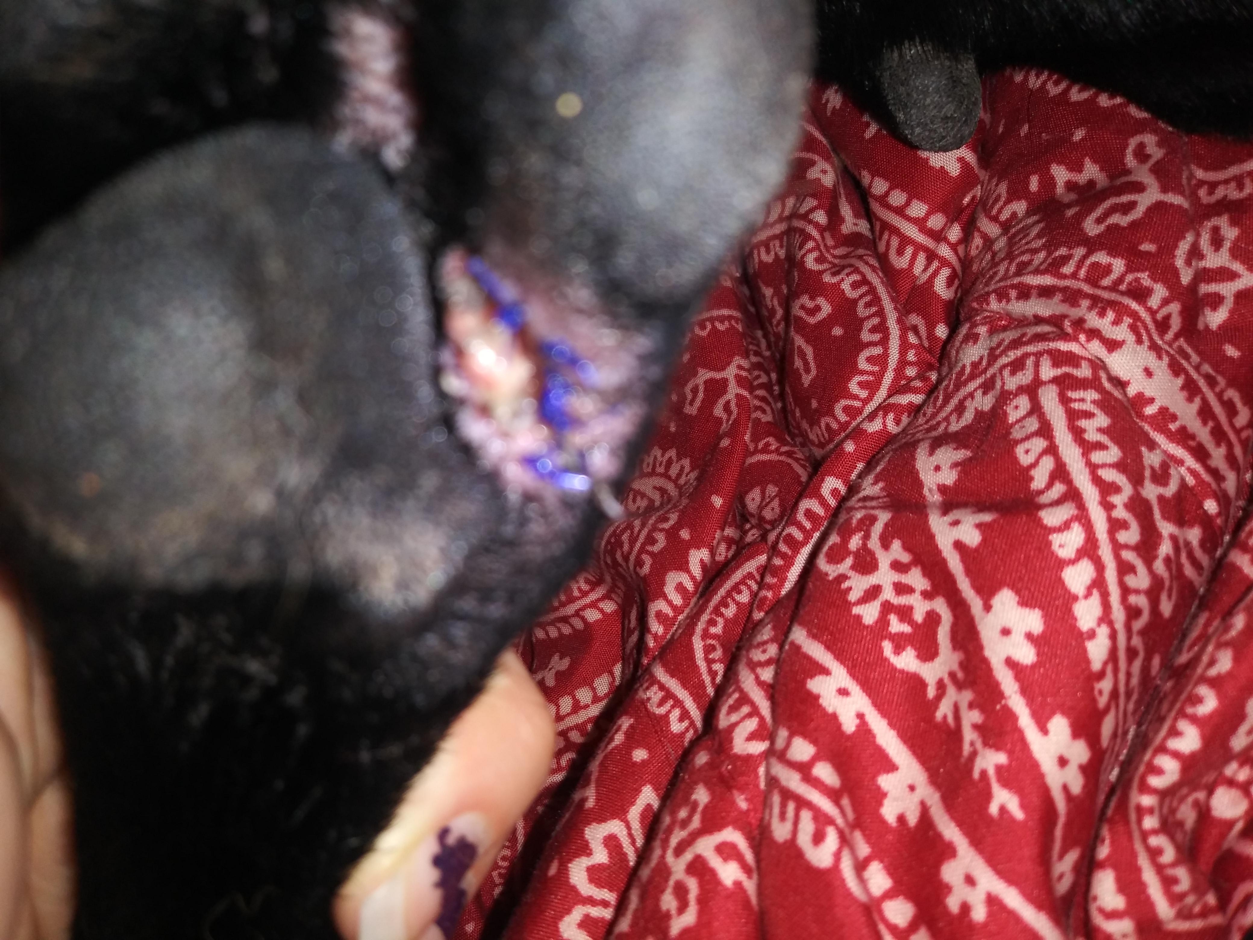 Question details sensitive content