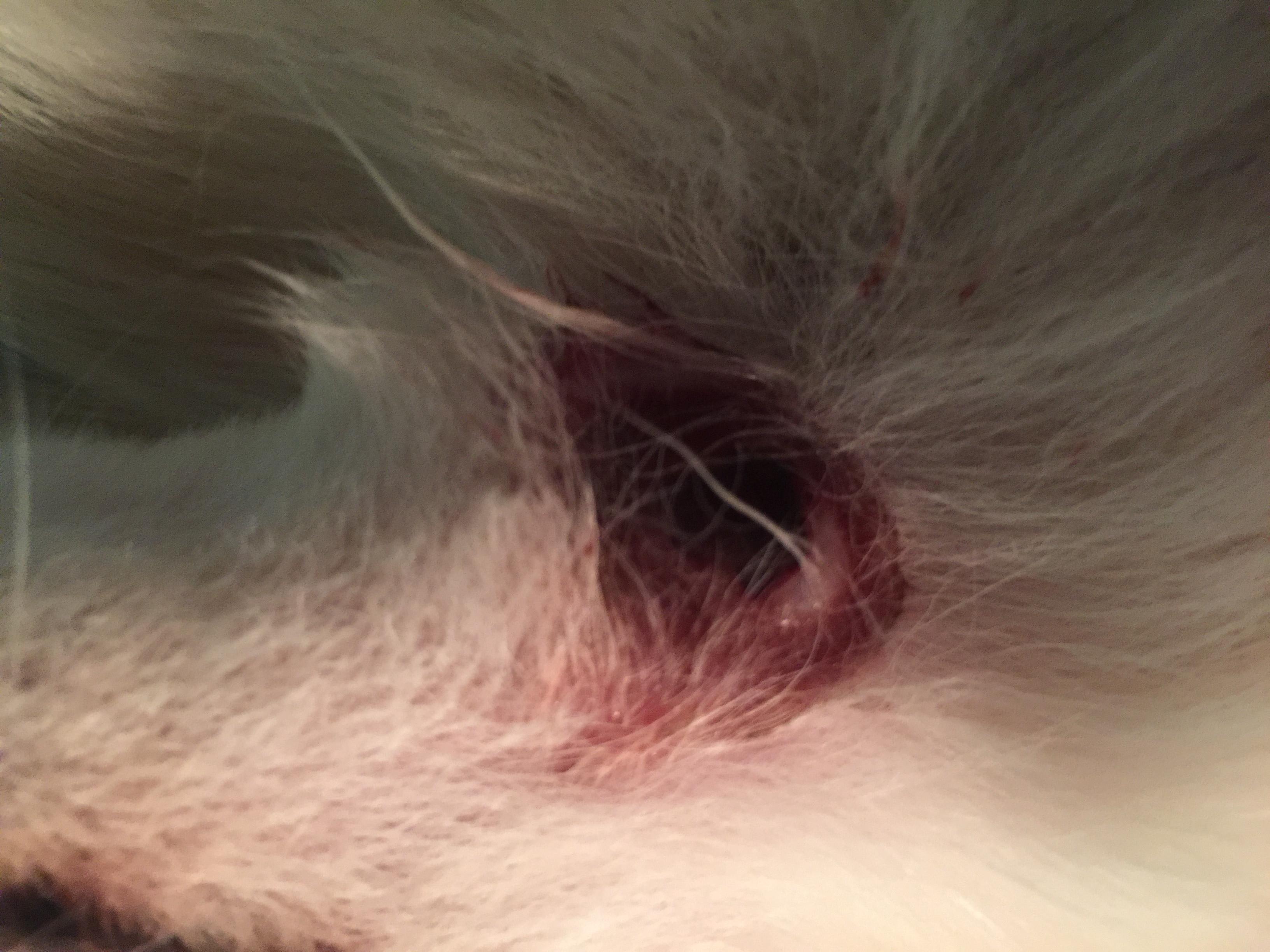 Question details sensitive content