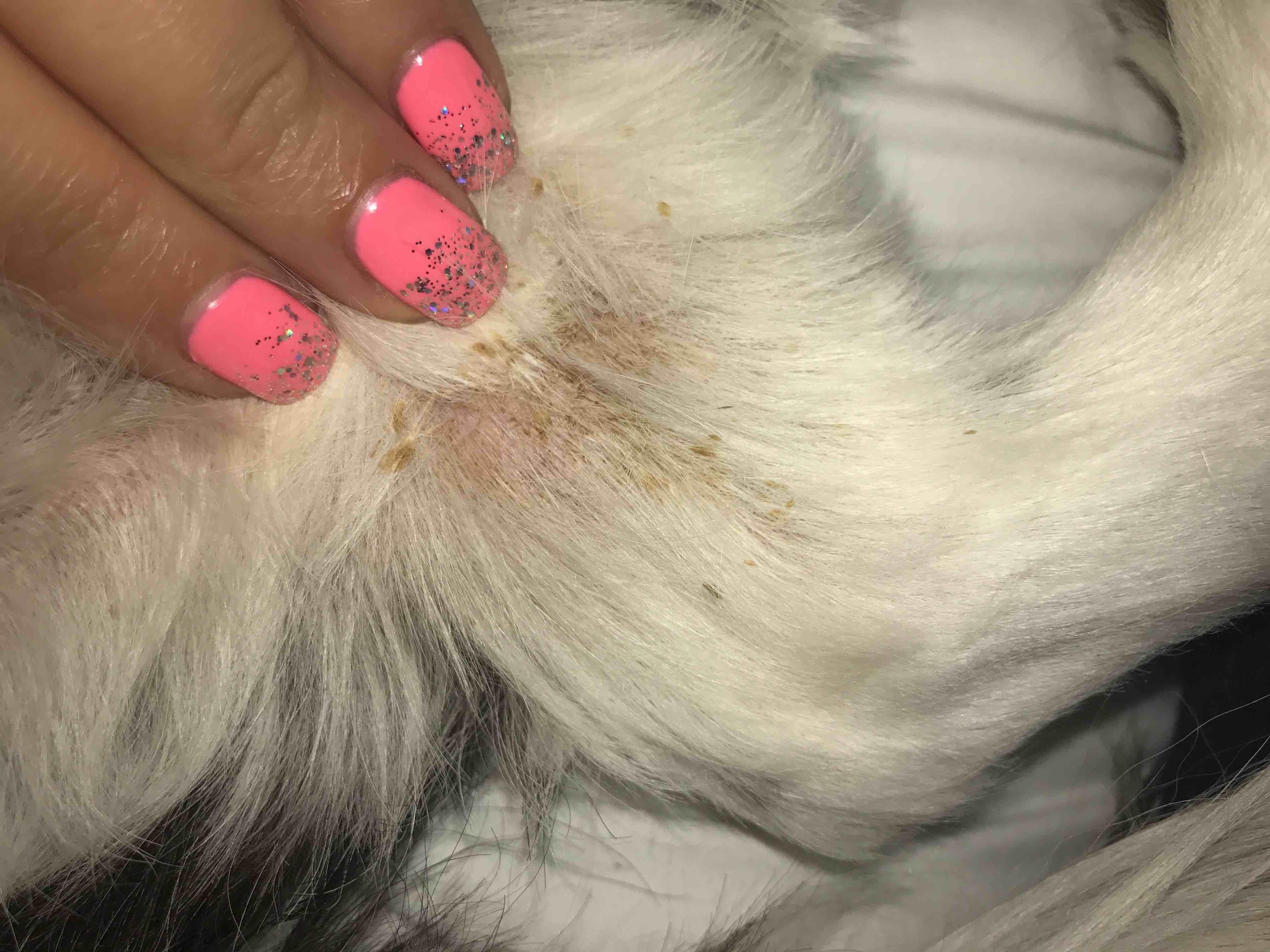 Question details sensitive content