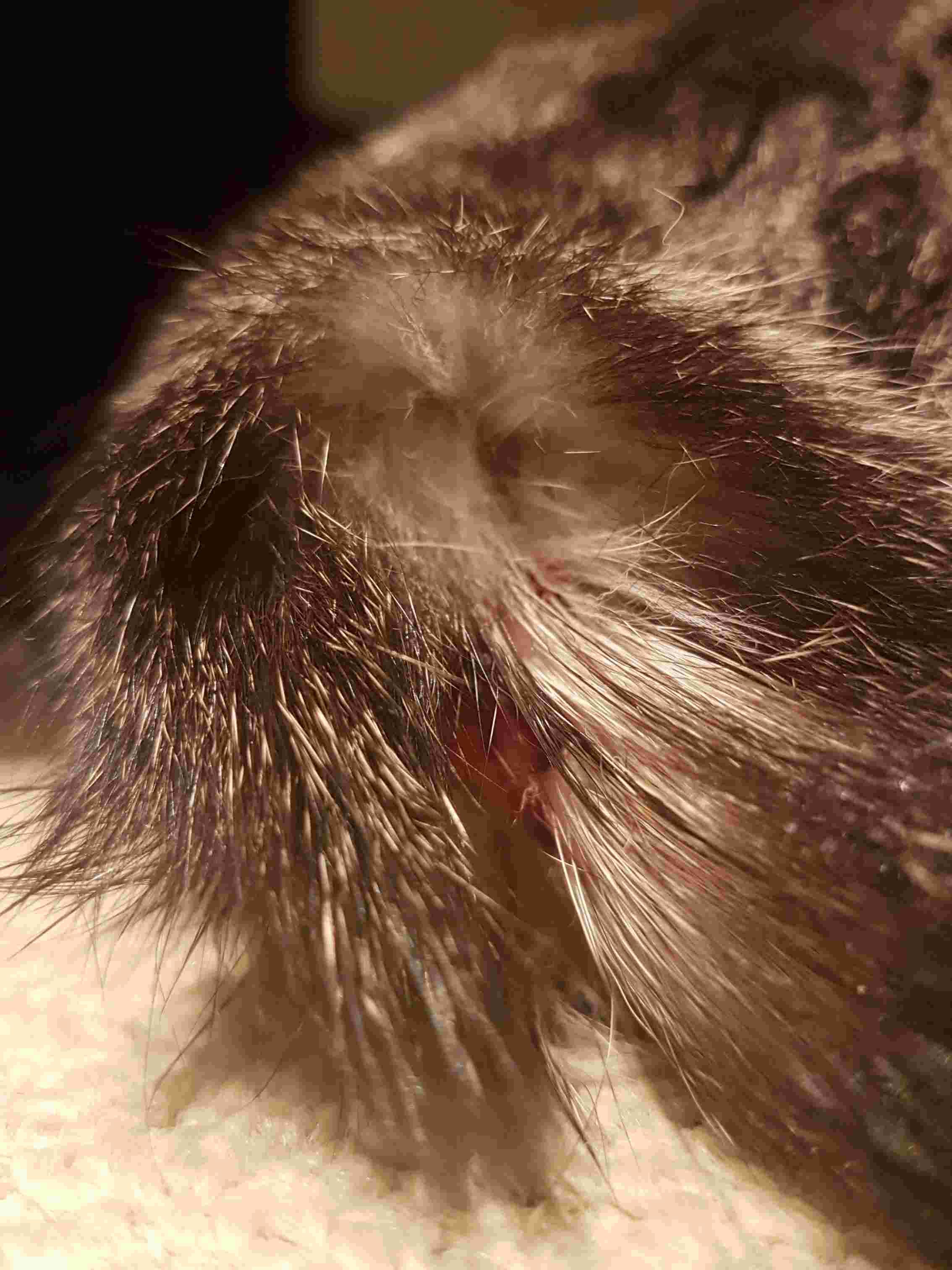 Question details sensitive content