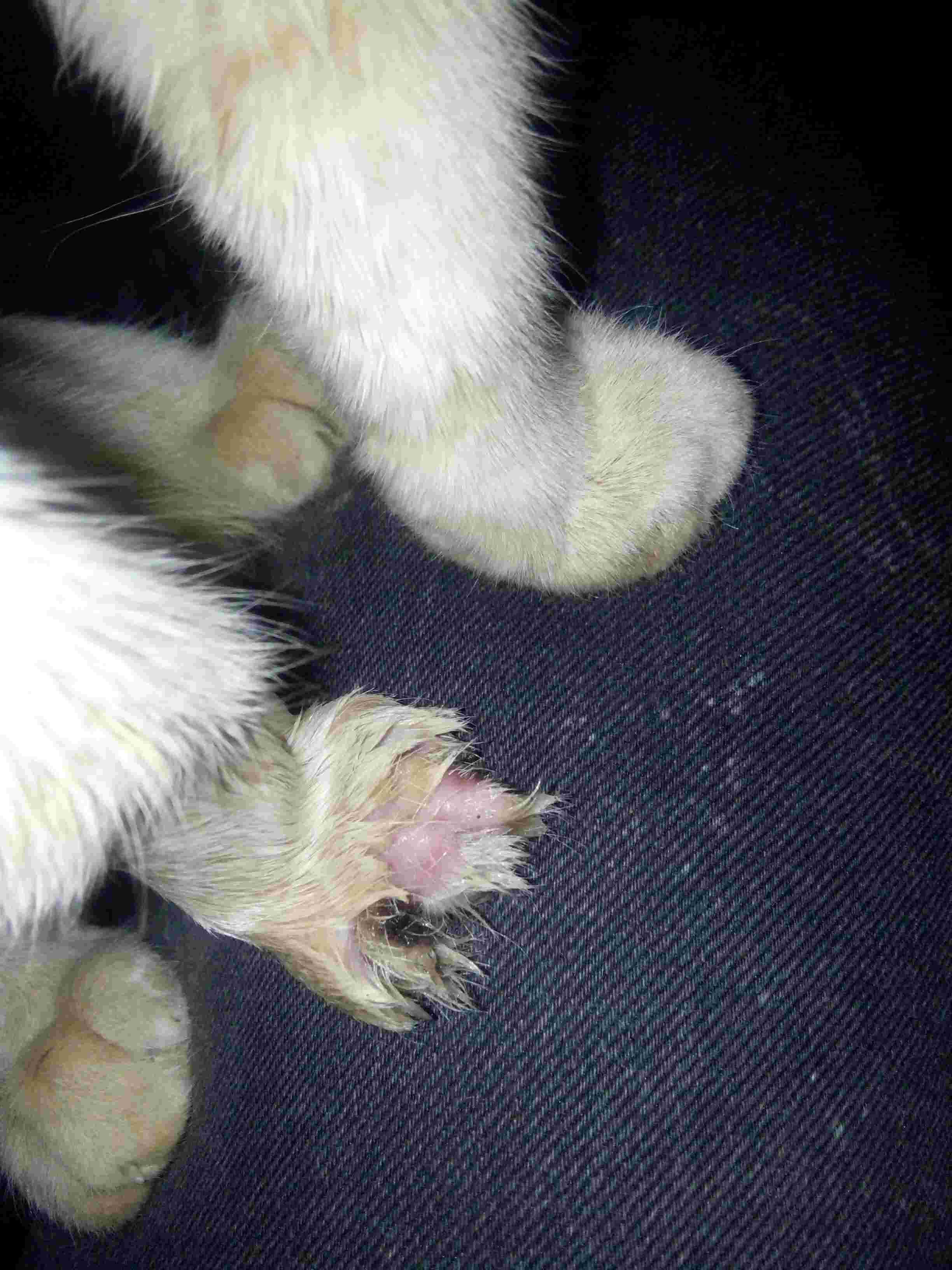 Question details sensitive content