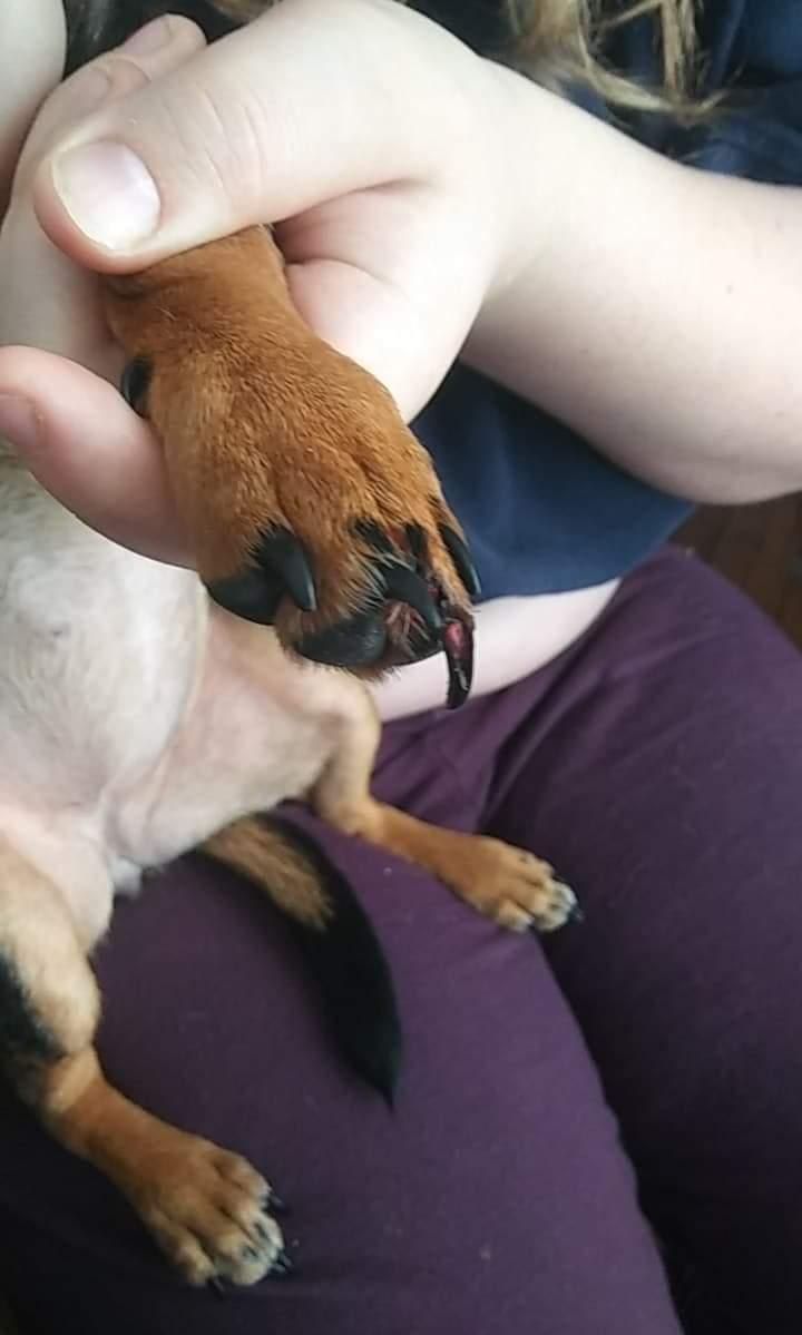 Question details sensitive content