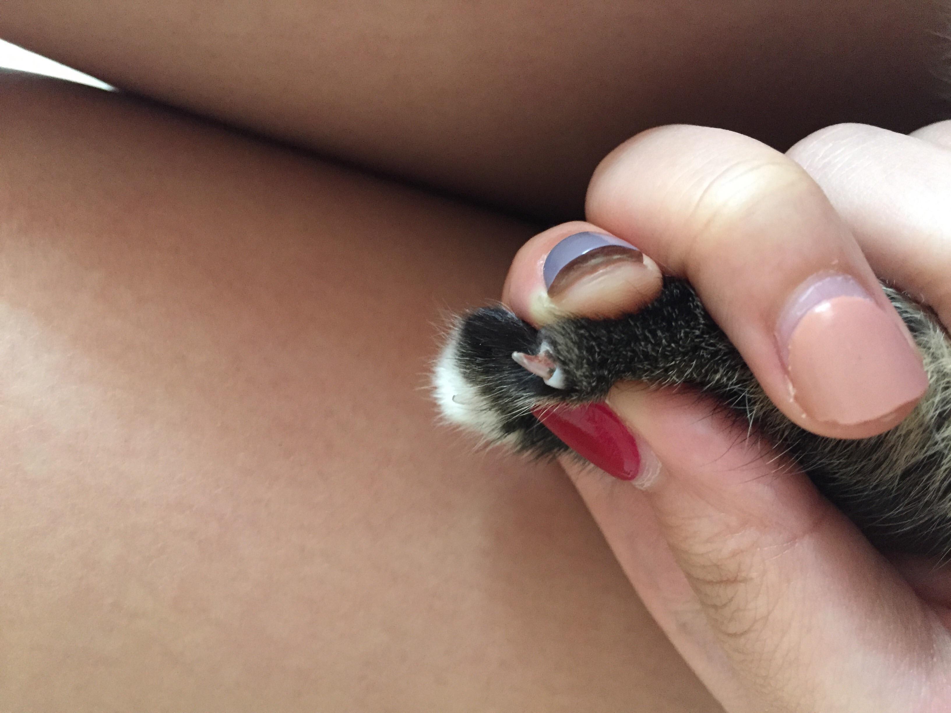 Question details sensitive content