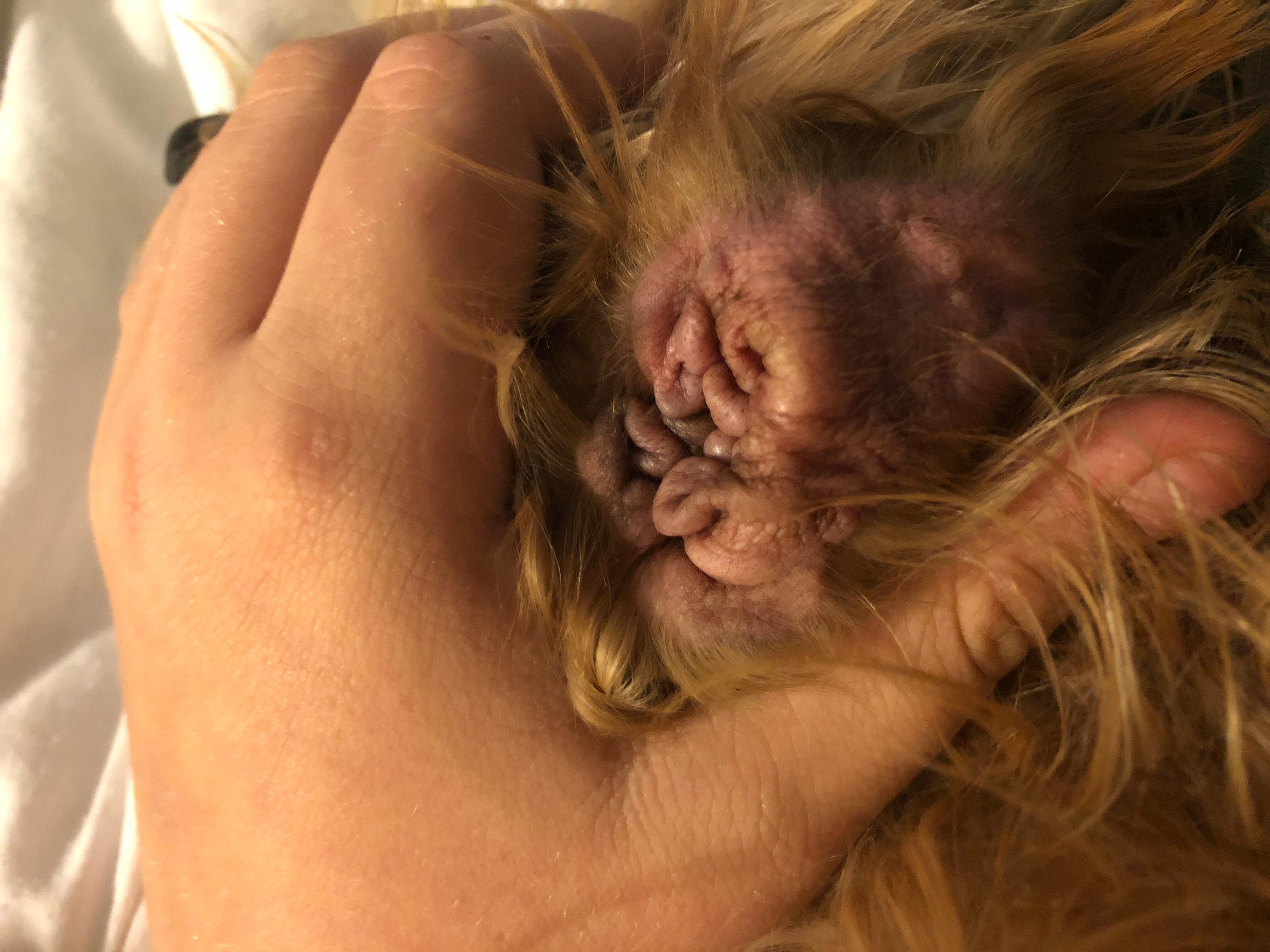 Question details sensitive content