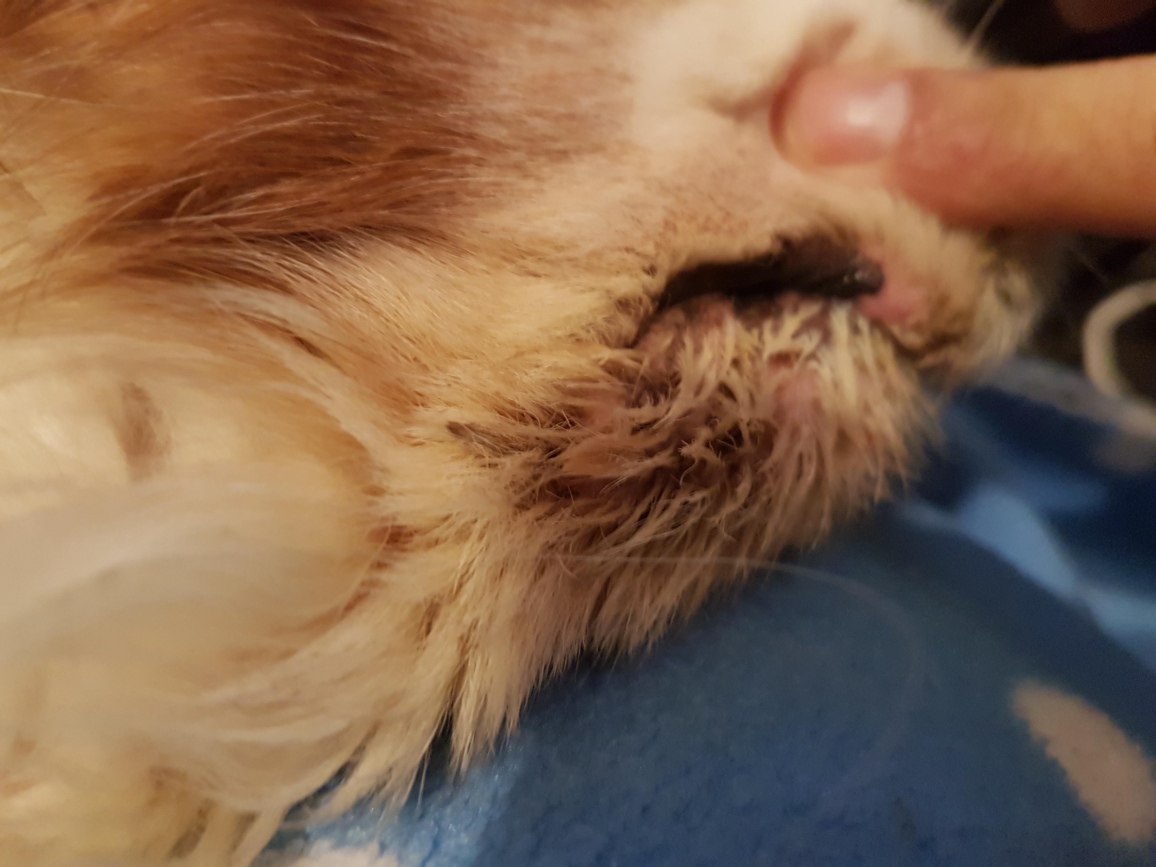 Question details sensitive content