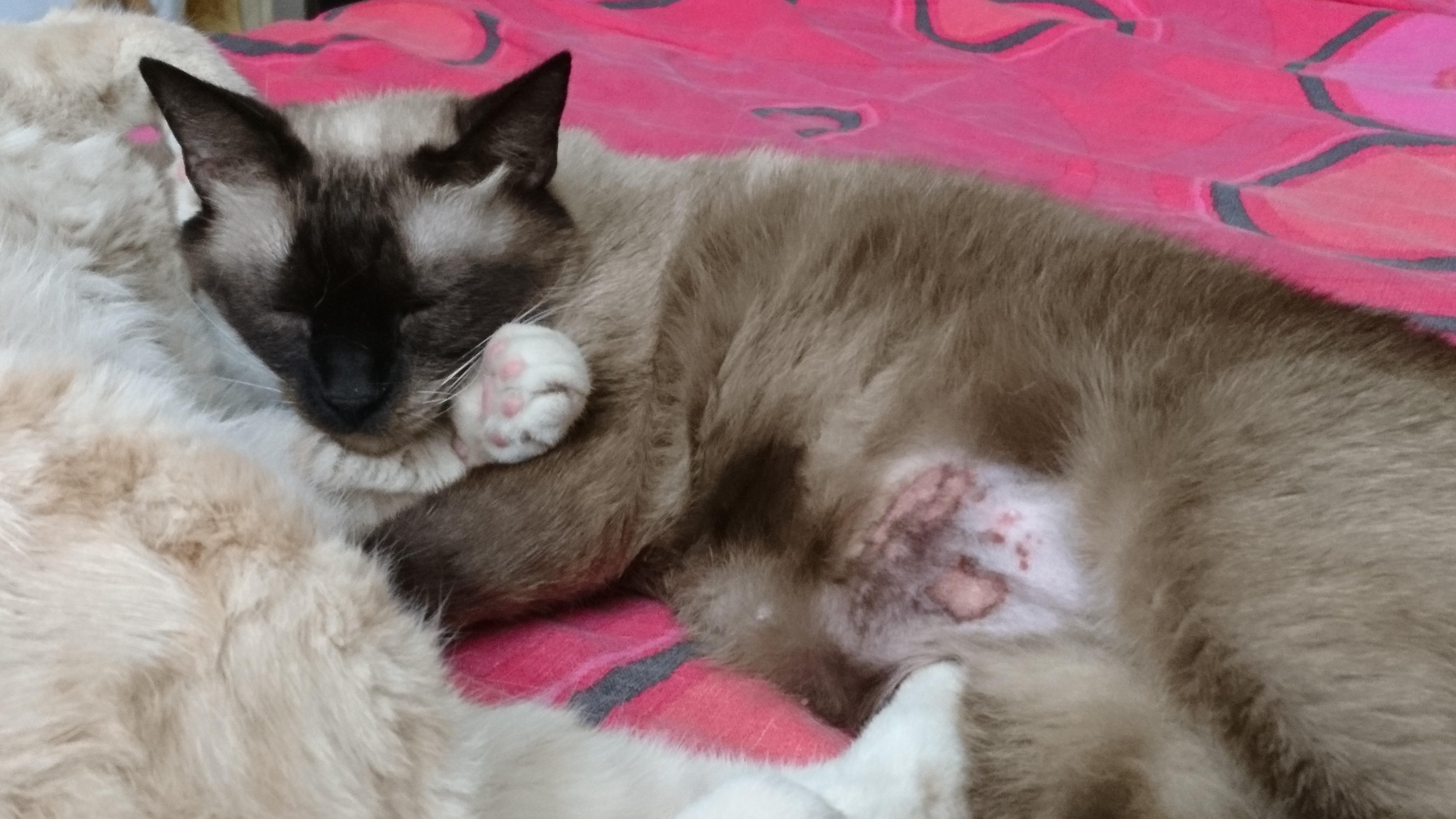 Question details sensitive content