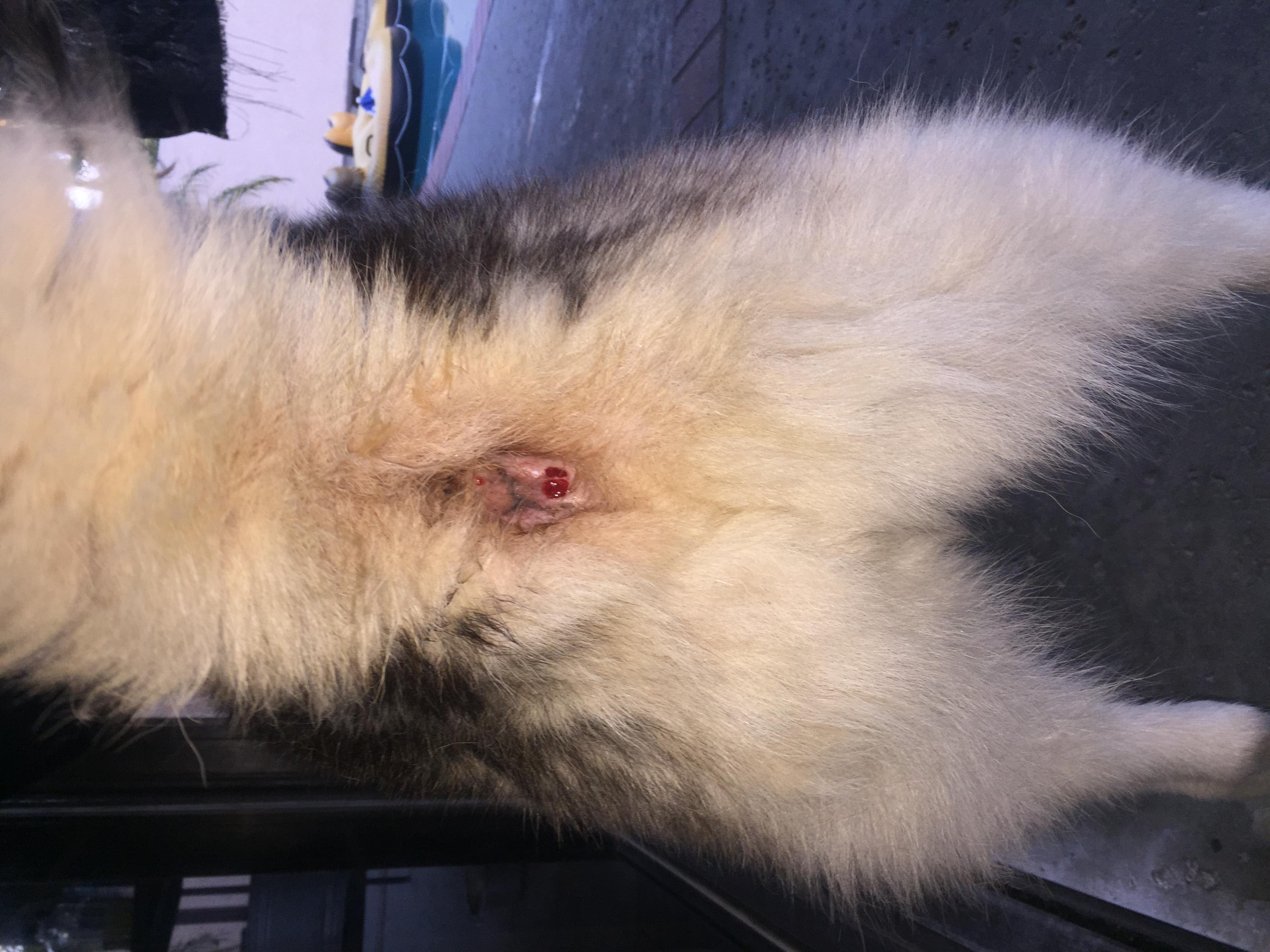 Question details sensitive content