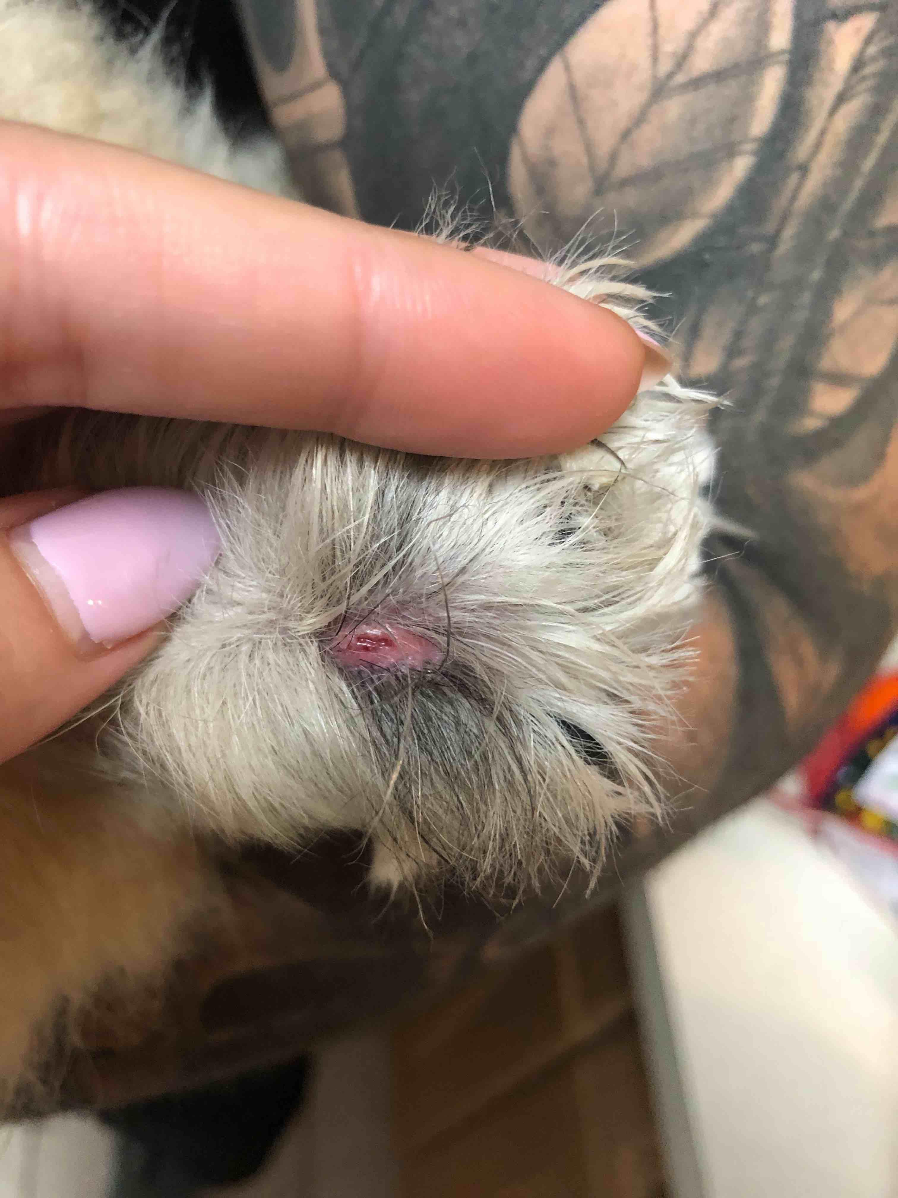 Question details sensitive content