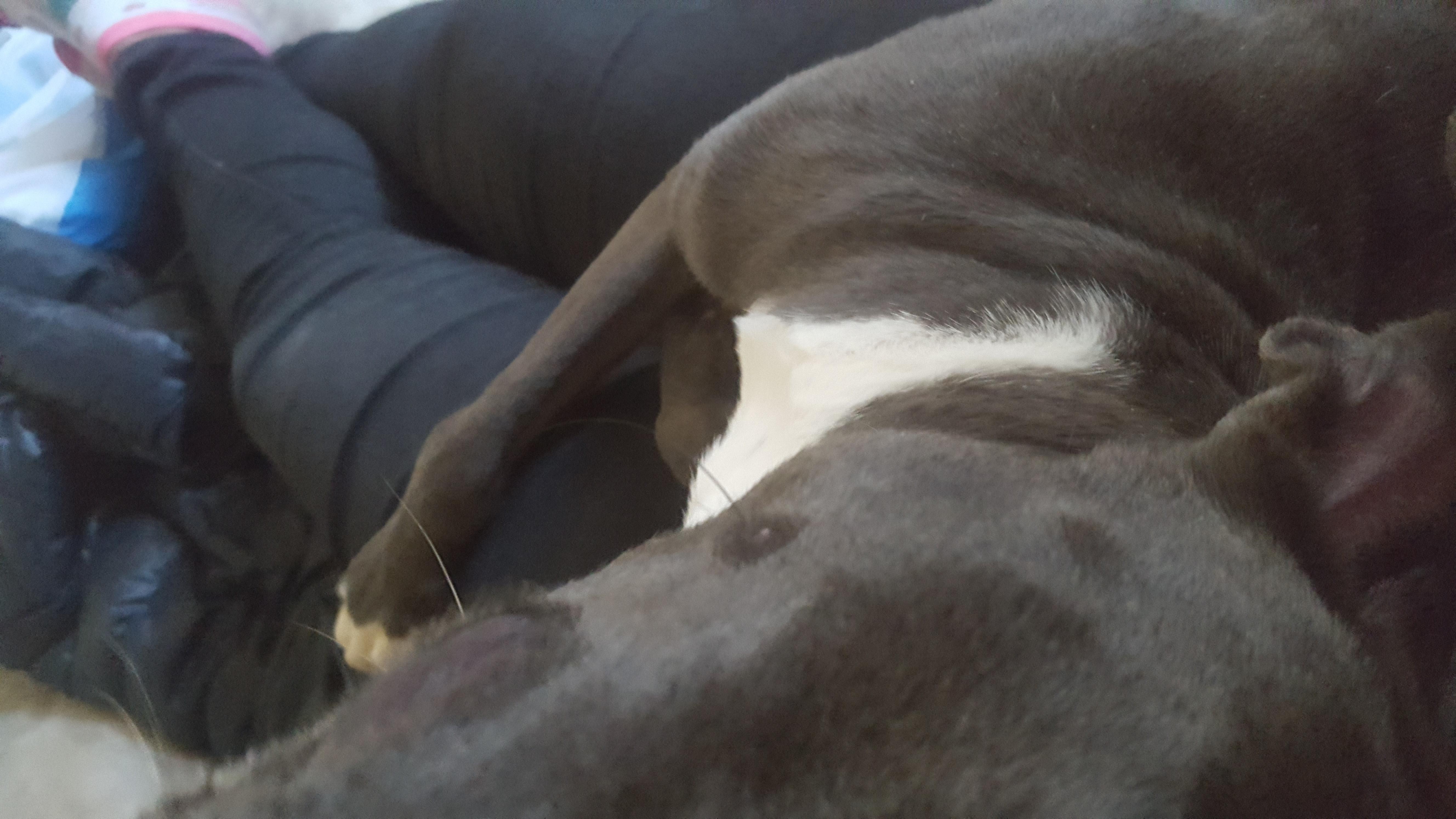 Question details sensitive content