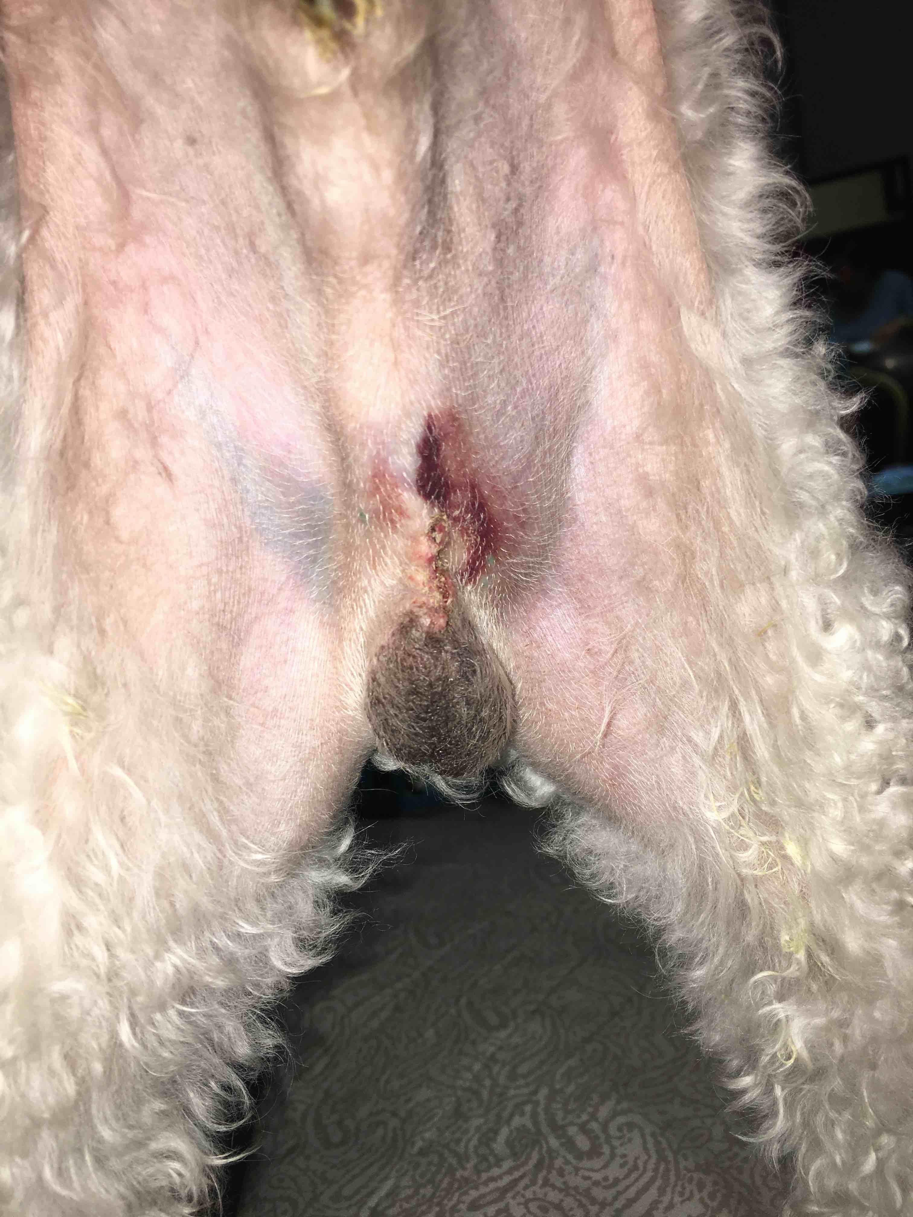 Question details sensitive content