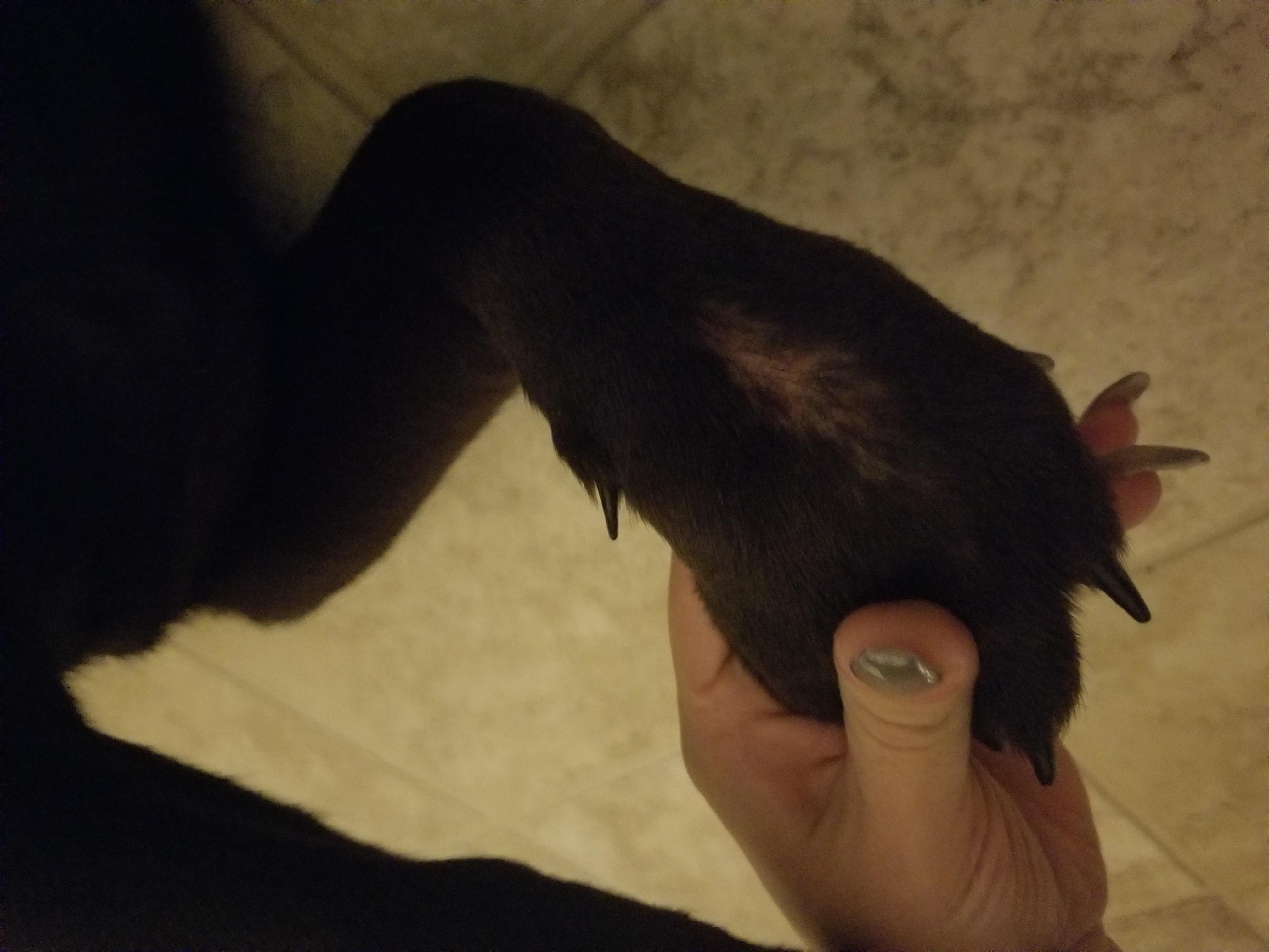 Question details sensitive content