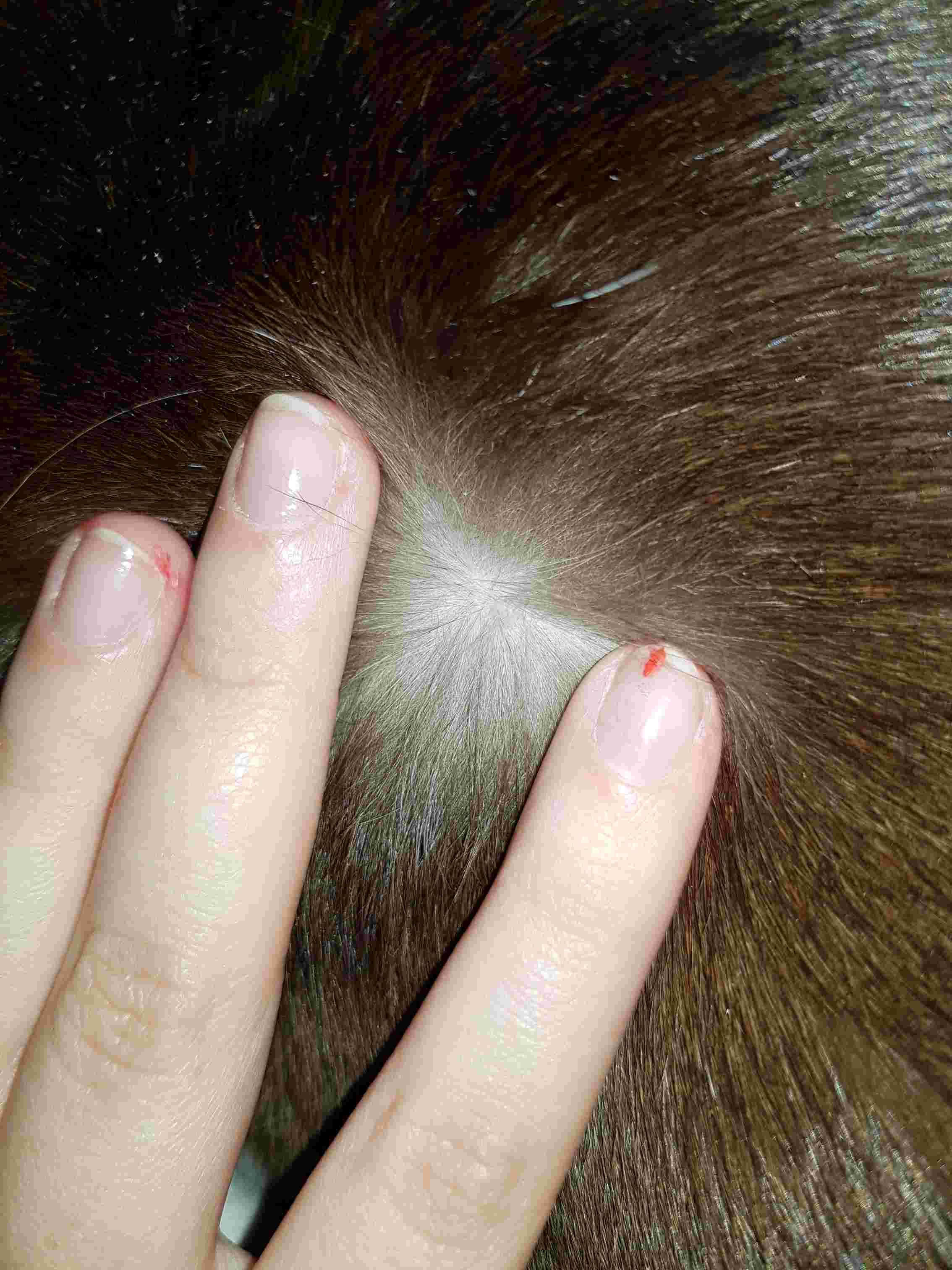 Question details sensitive content