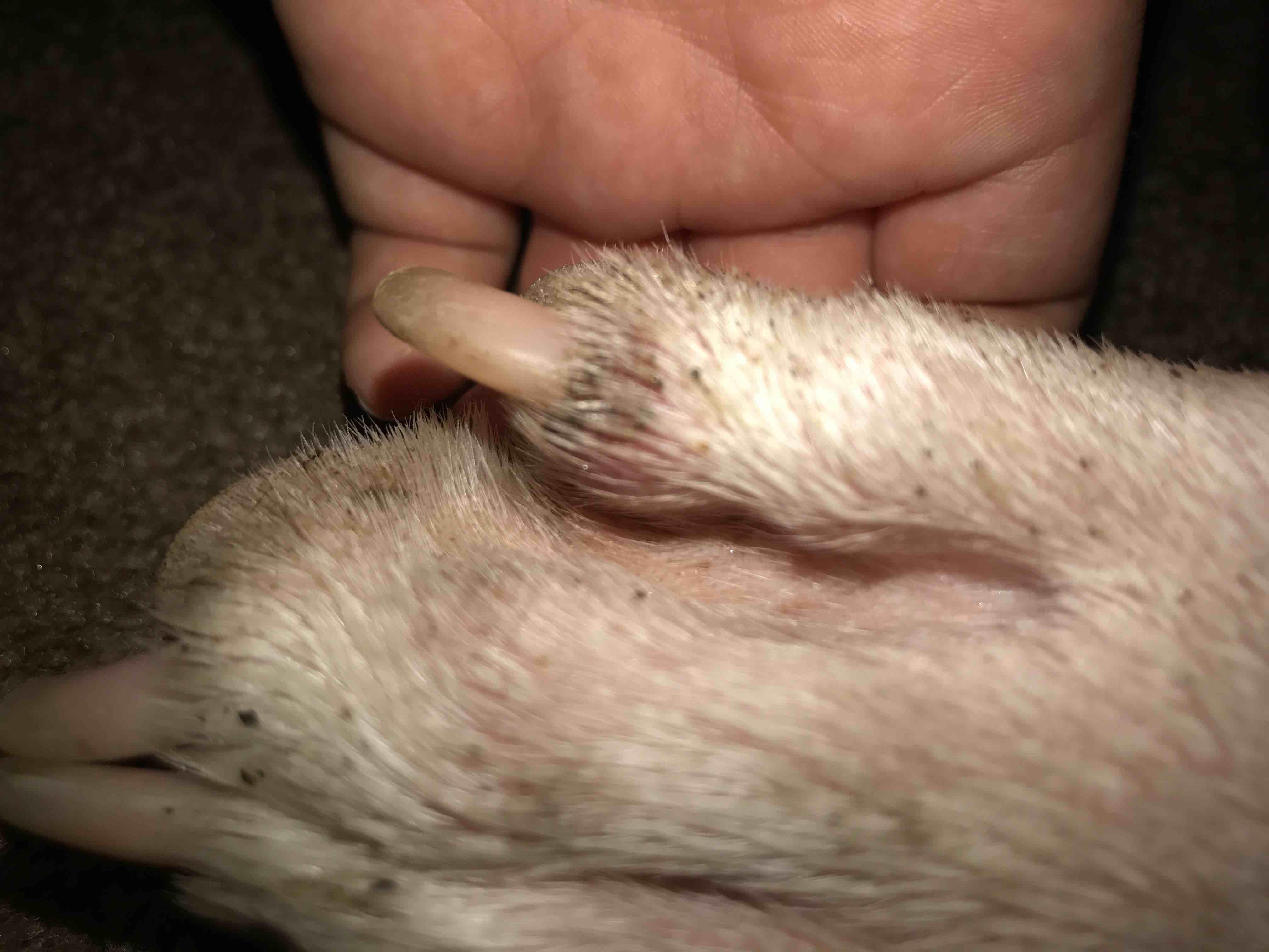 Question details sensitive content