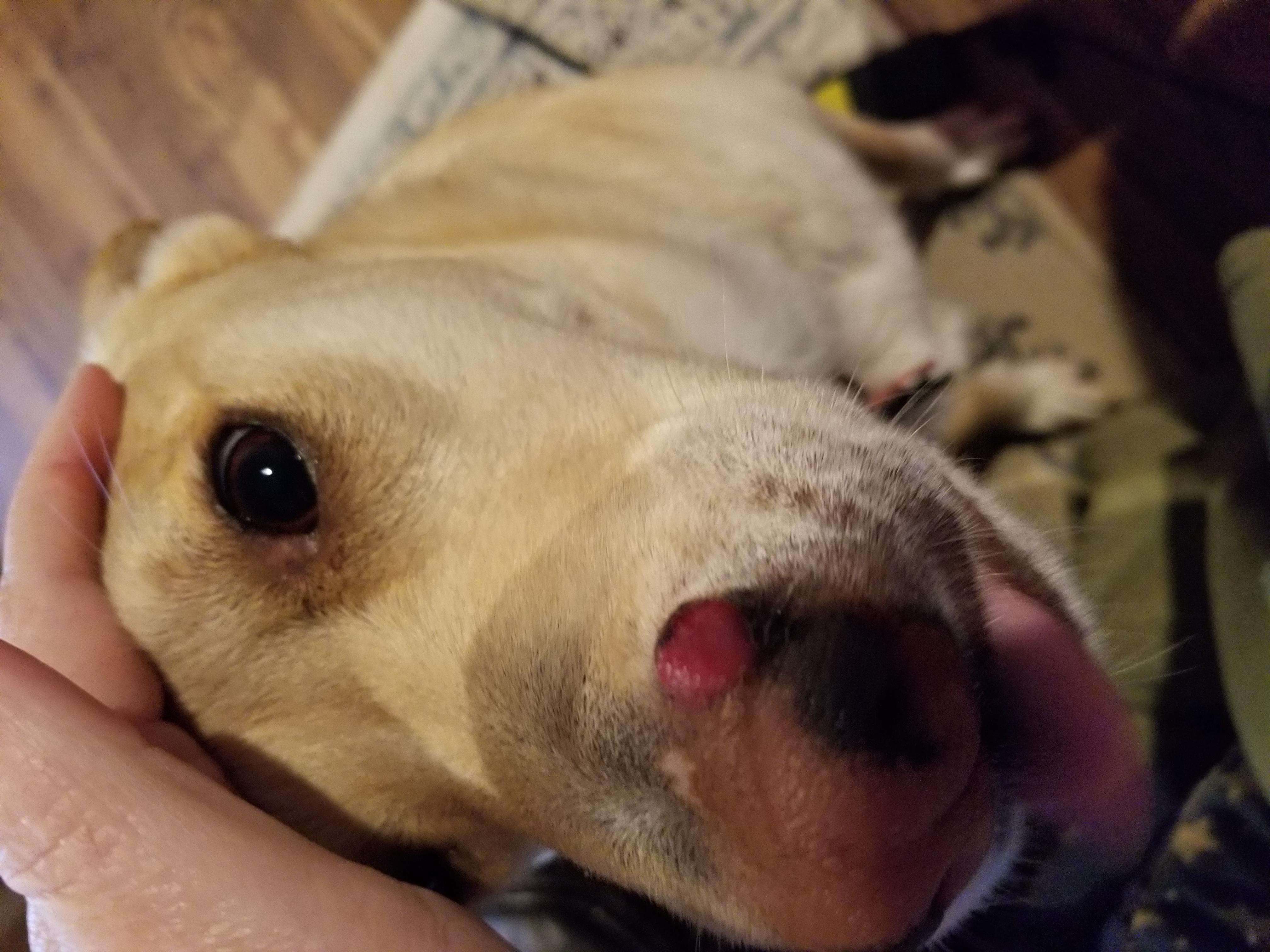 Question details sensitive content