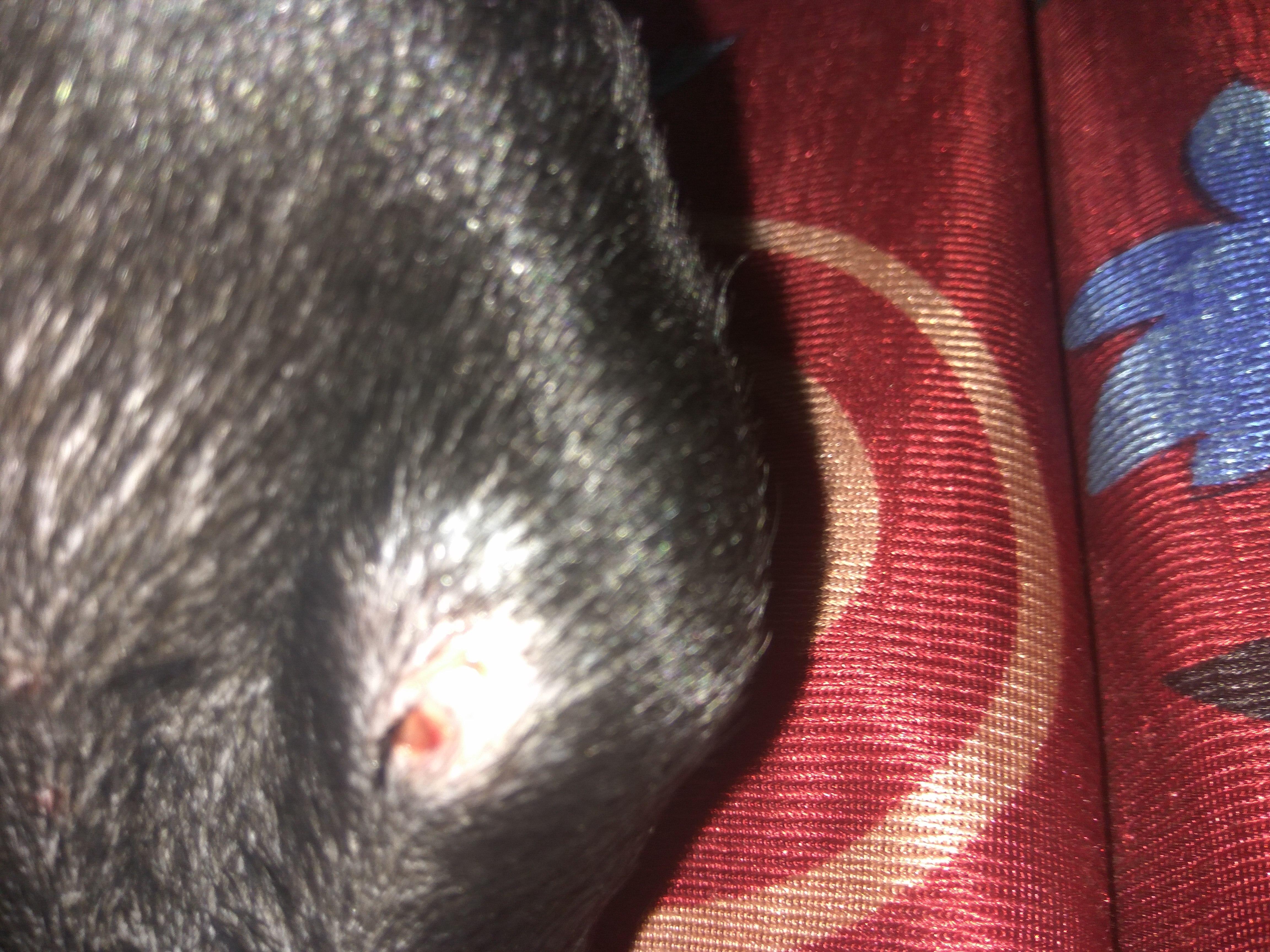 Question details sensitive content