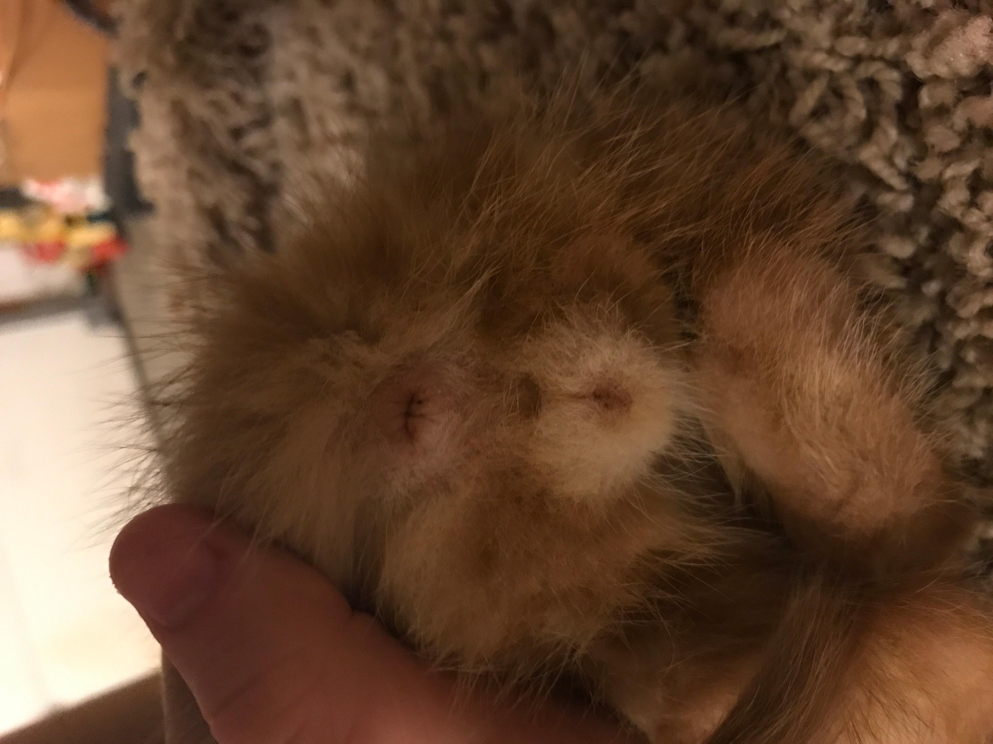 Question details sensitive content