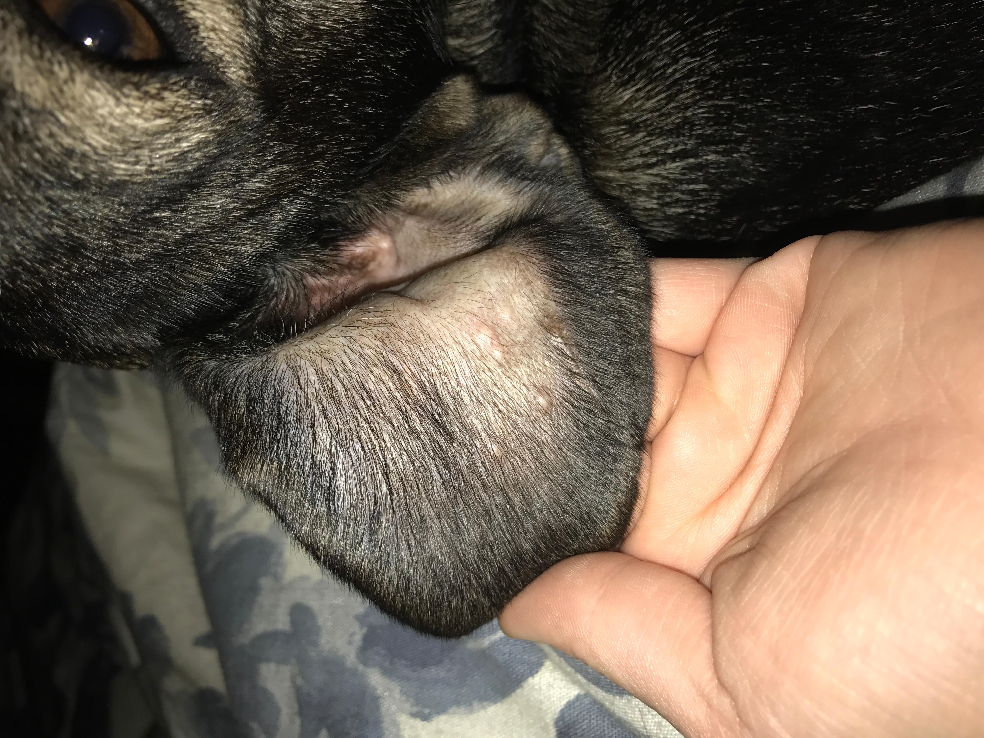 Question details sensitive content