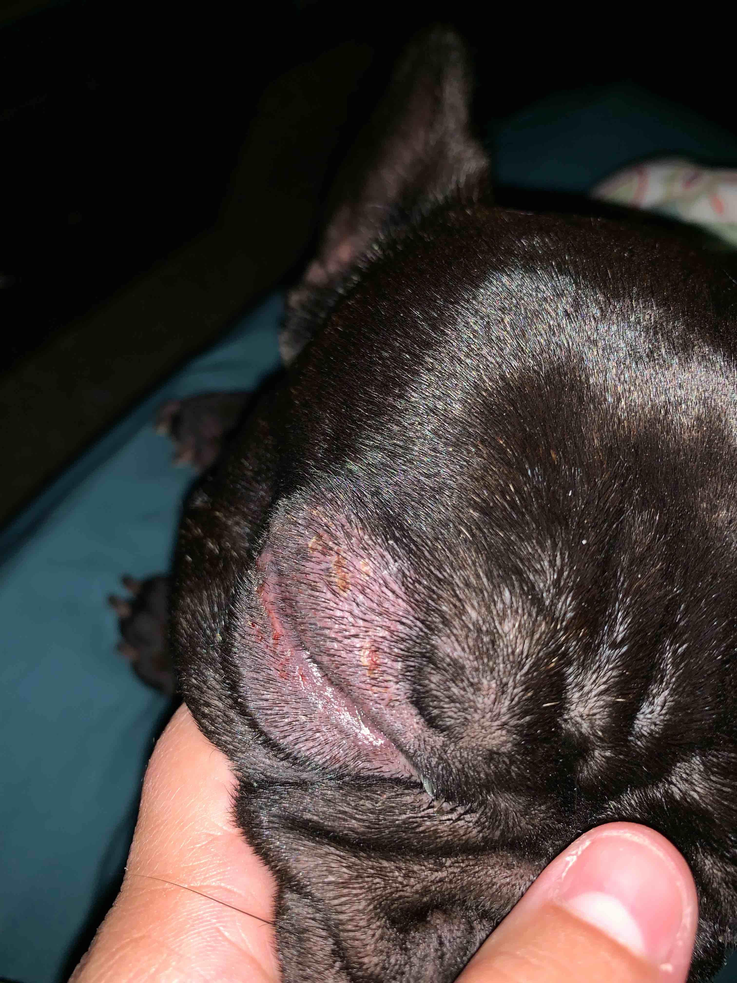 Question details sensitive content