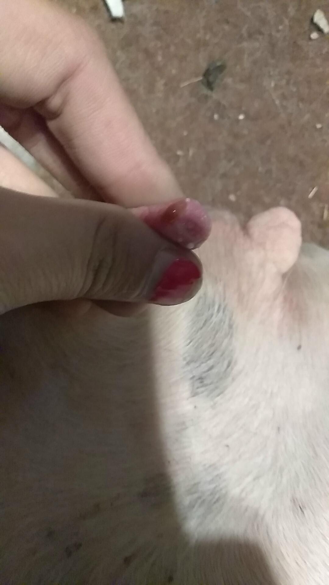 Question details sensitive content