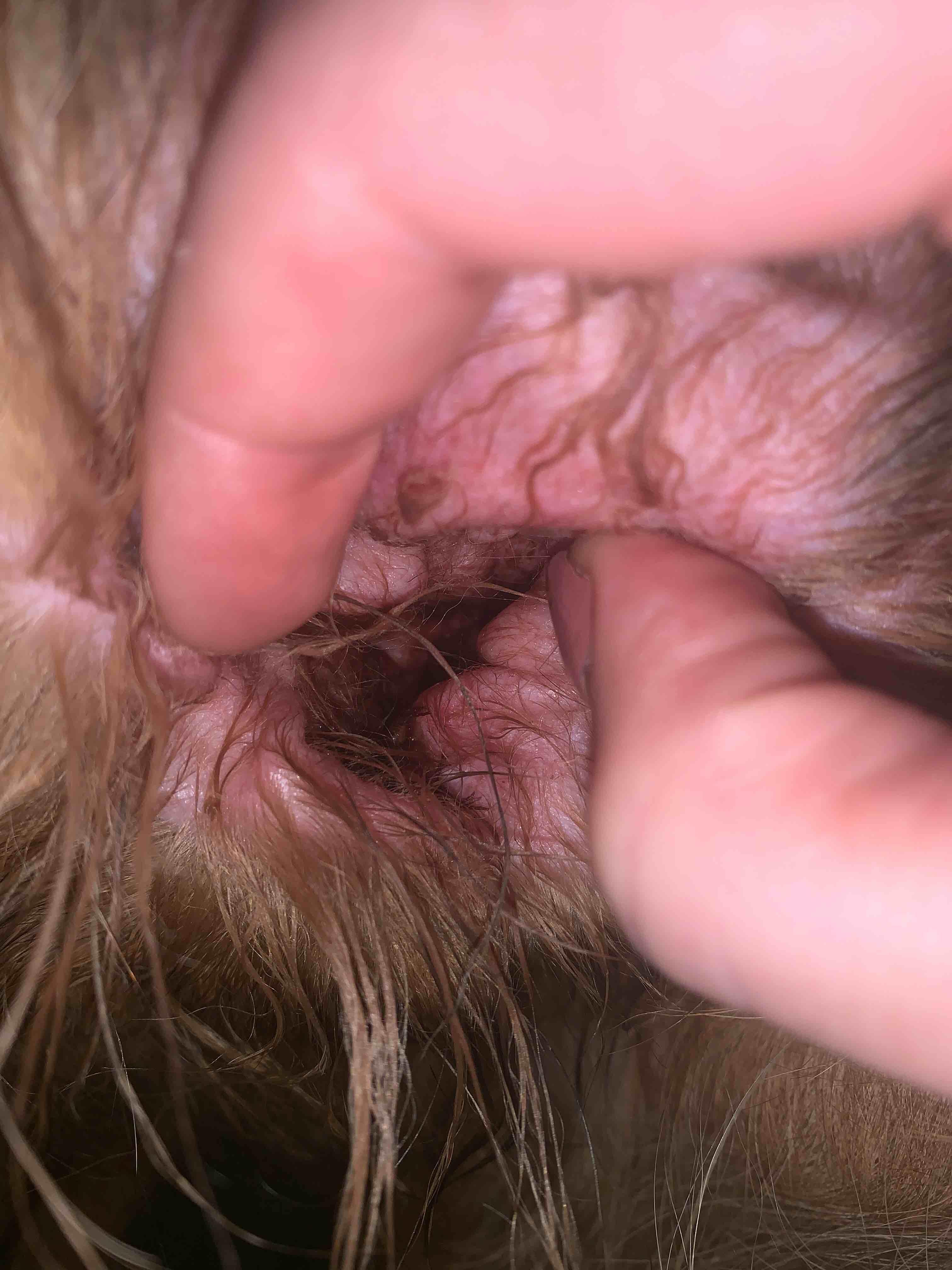 Question details sensitive content