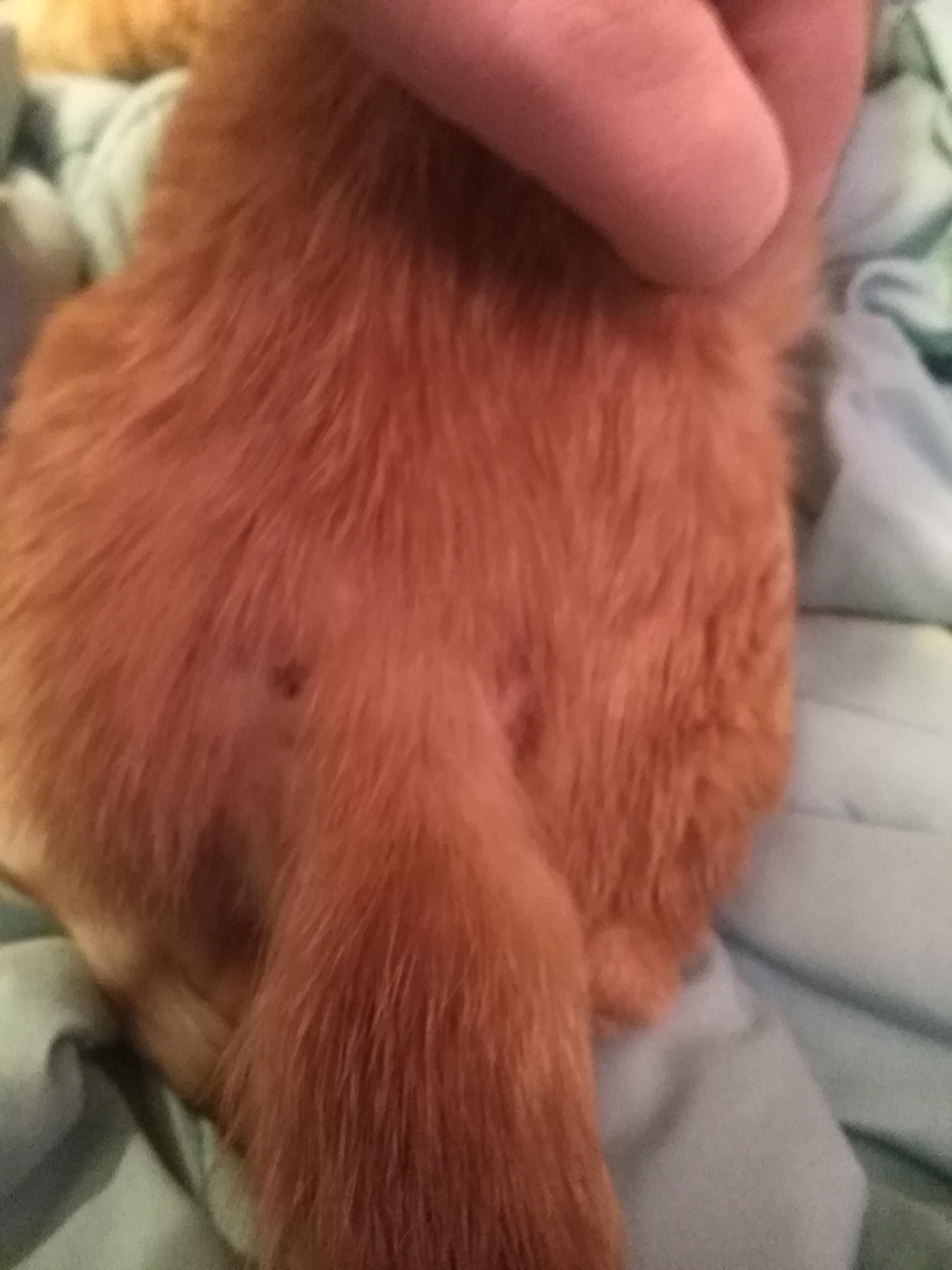 Question details sensitive content