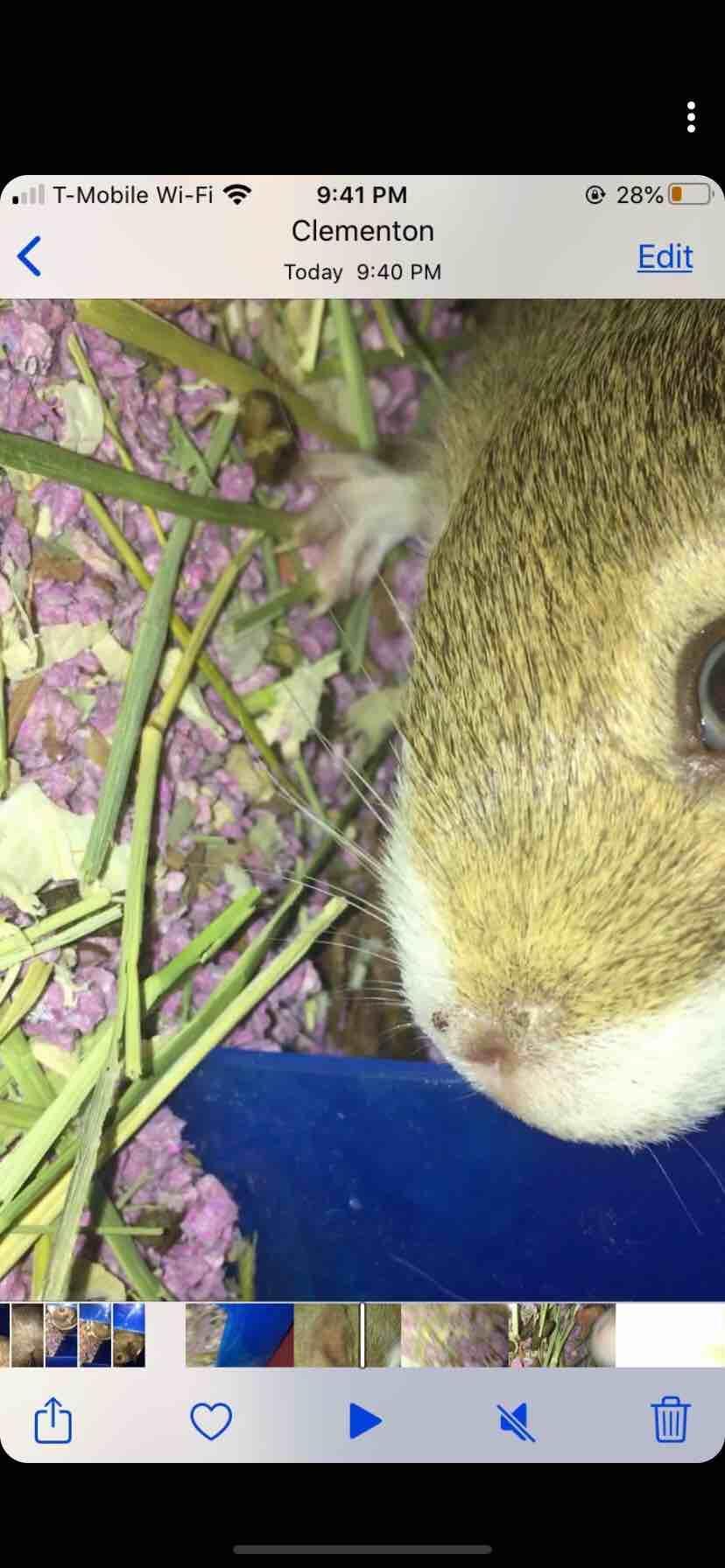 Question details sensitive content