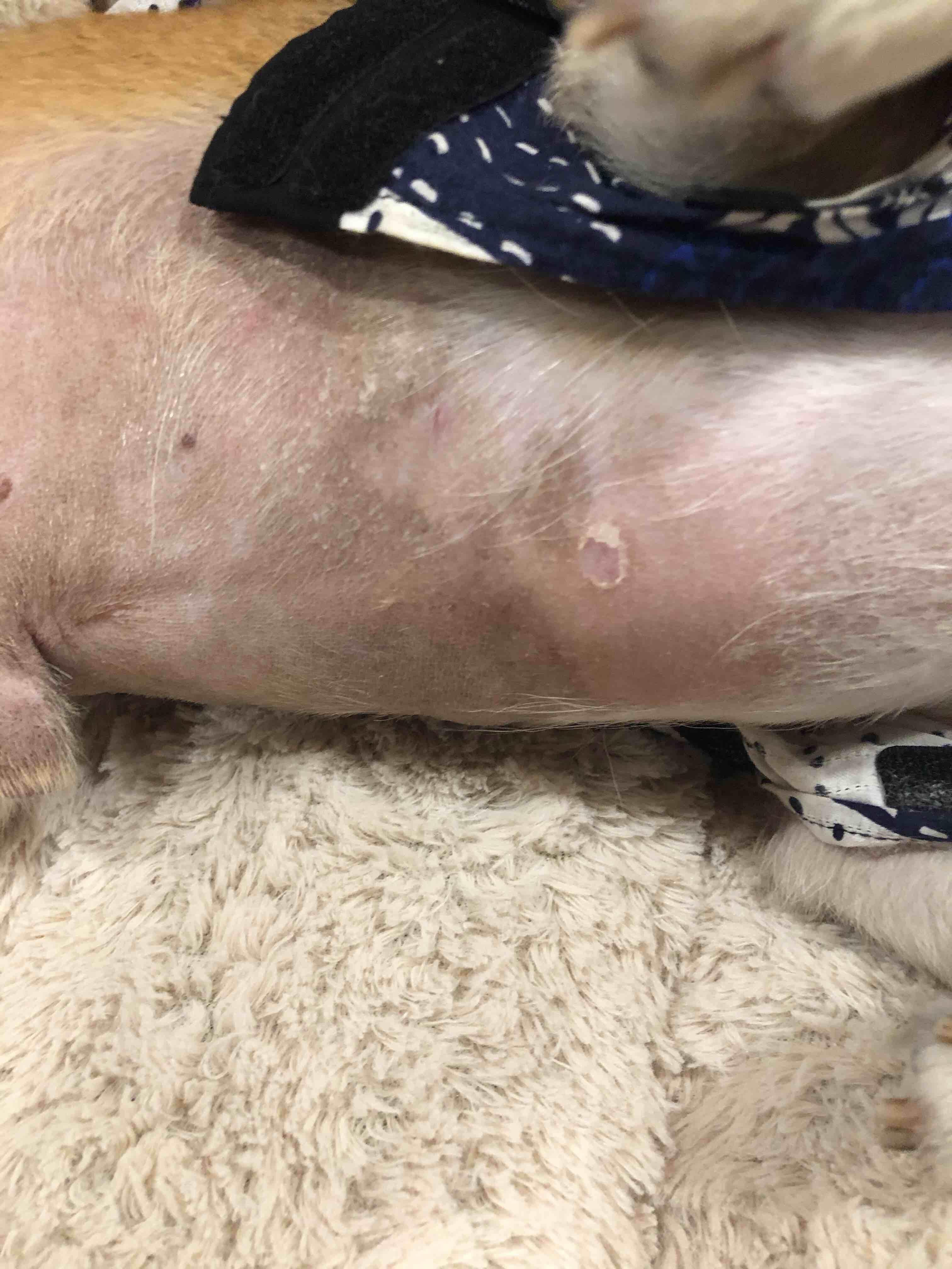 Question details sensitive content