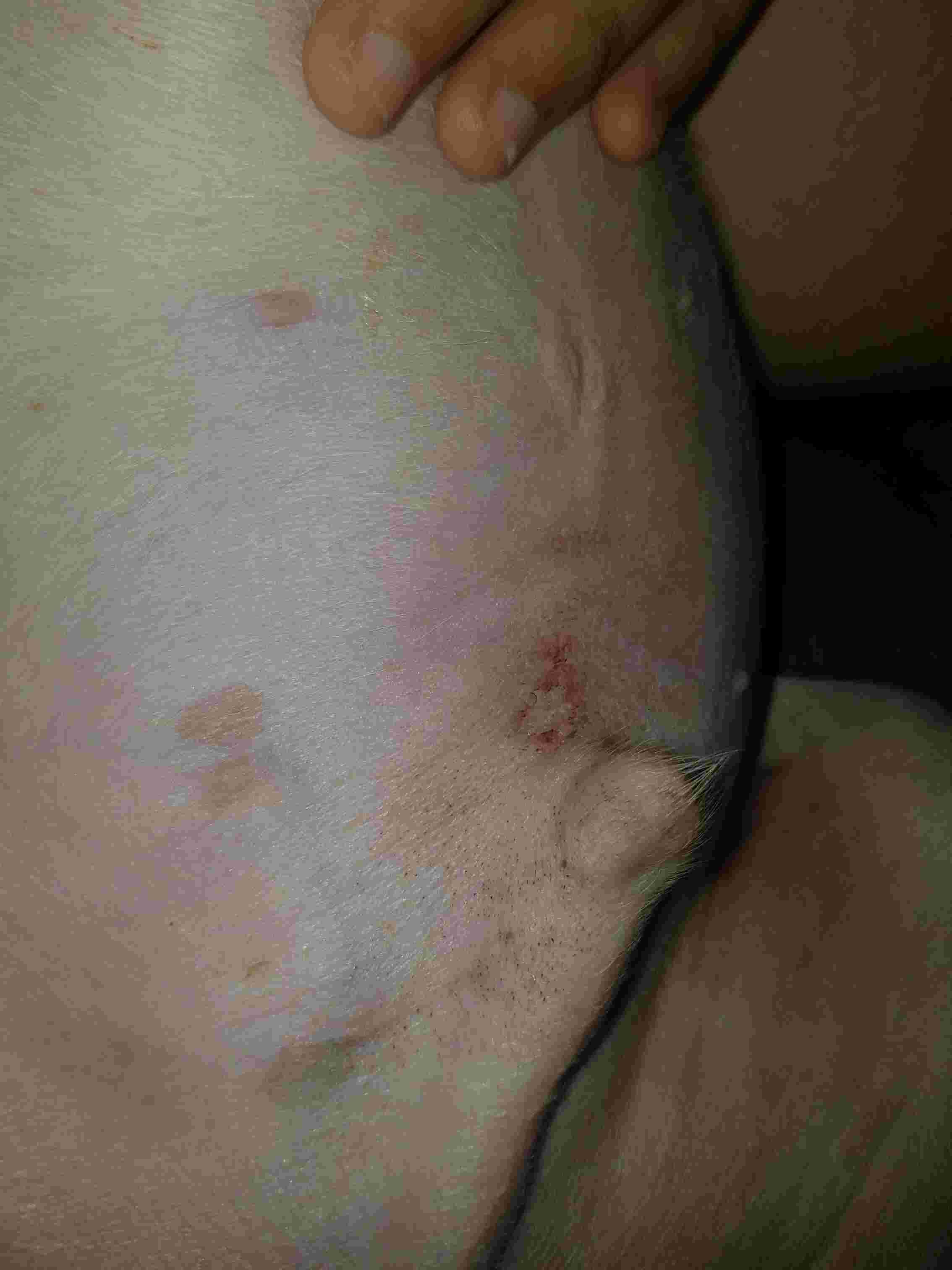 Question details sensitive content