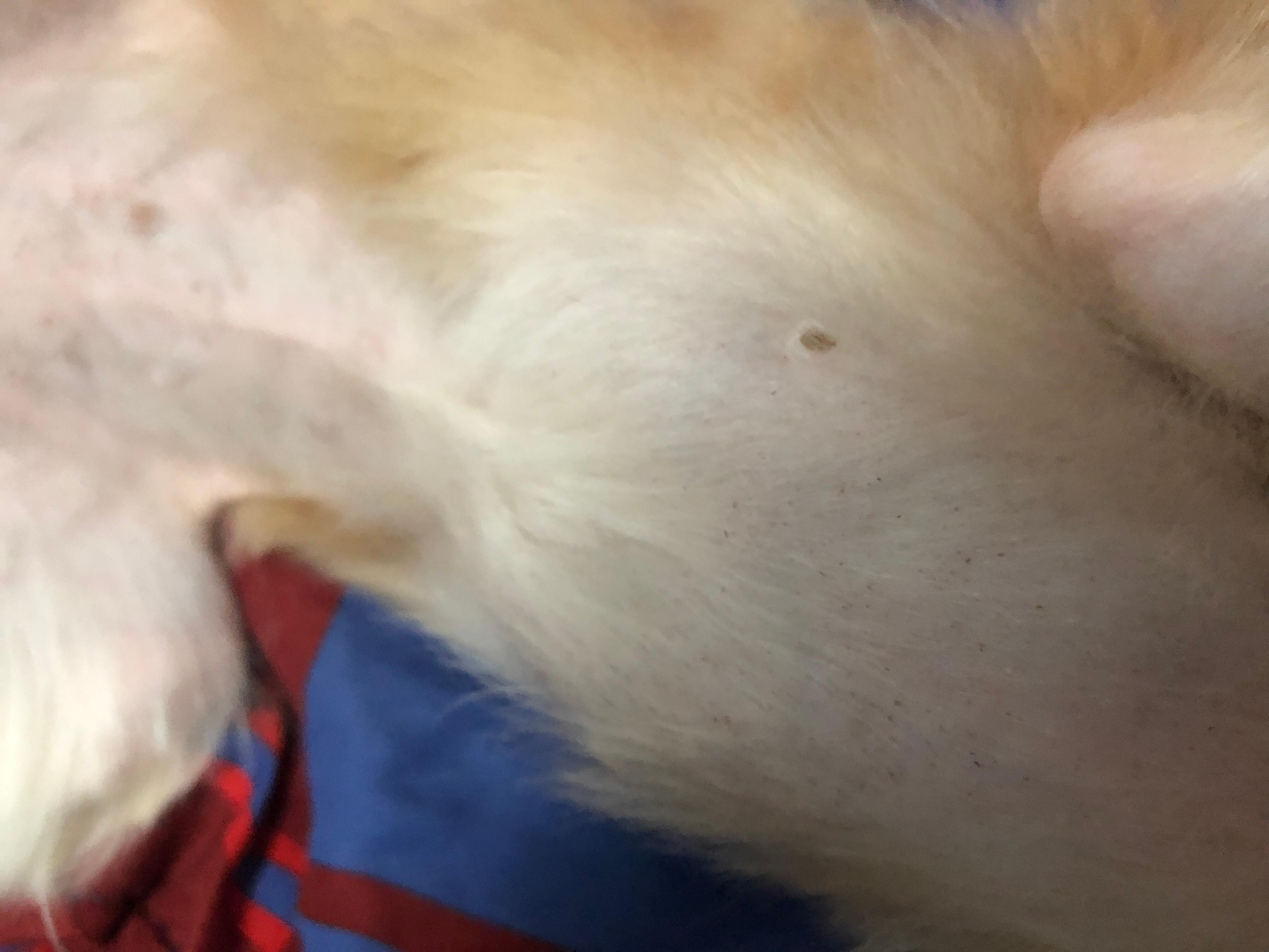 Question details sensitive content