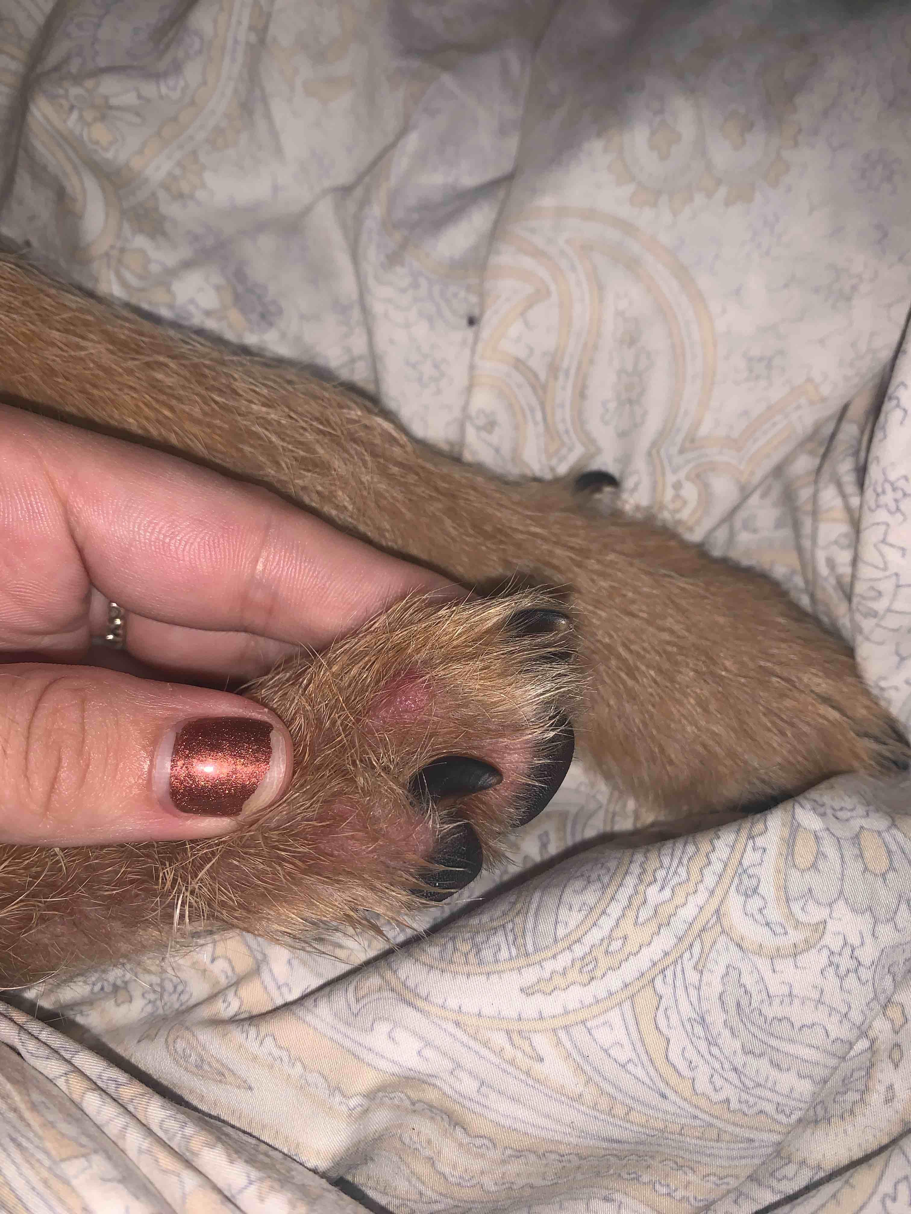 Question details sensitive content