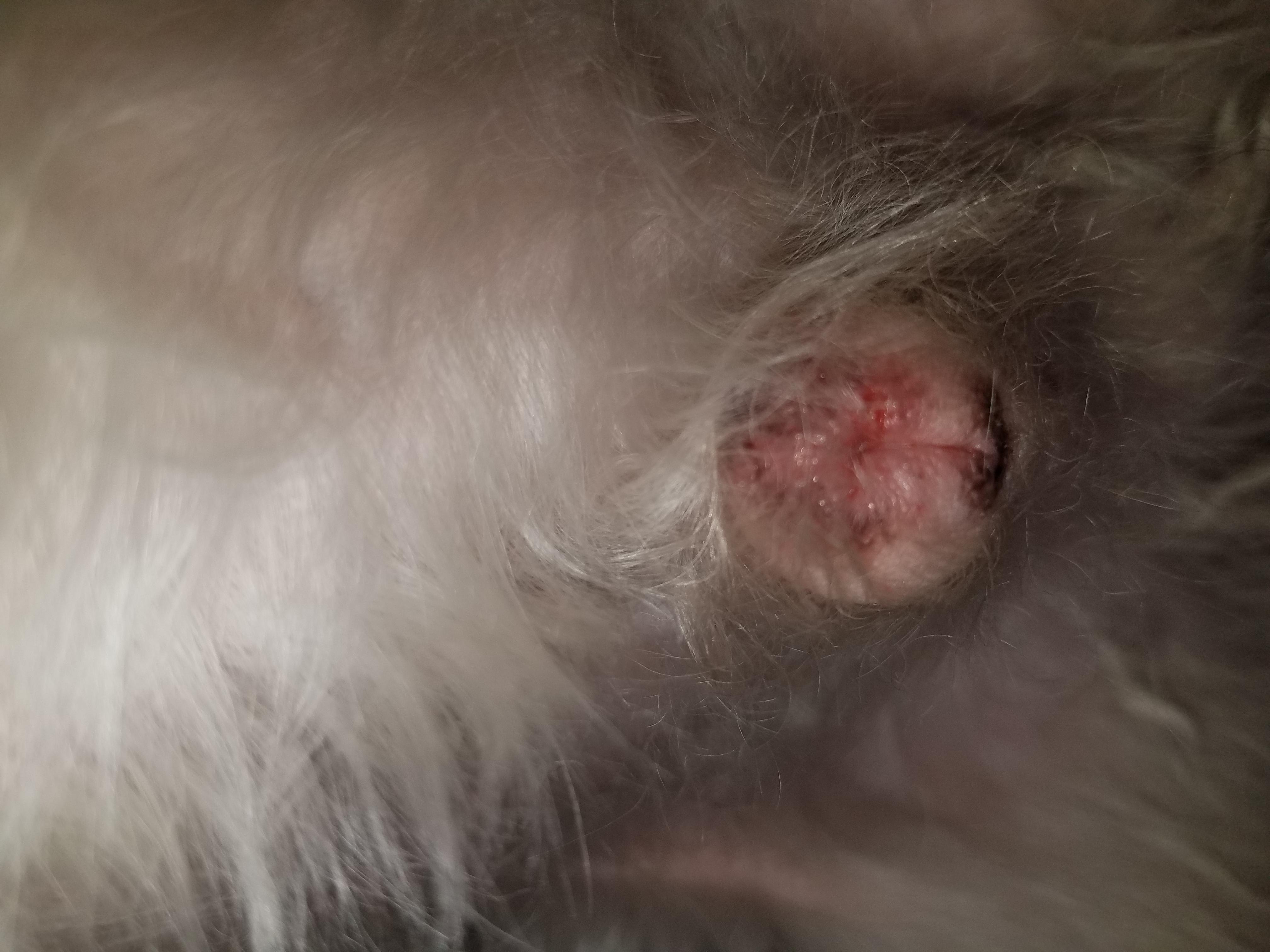 Question details sensitive content