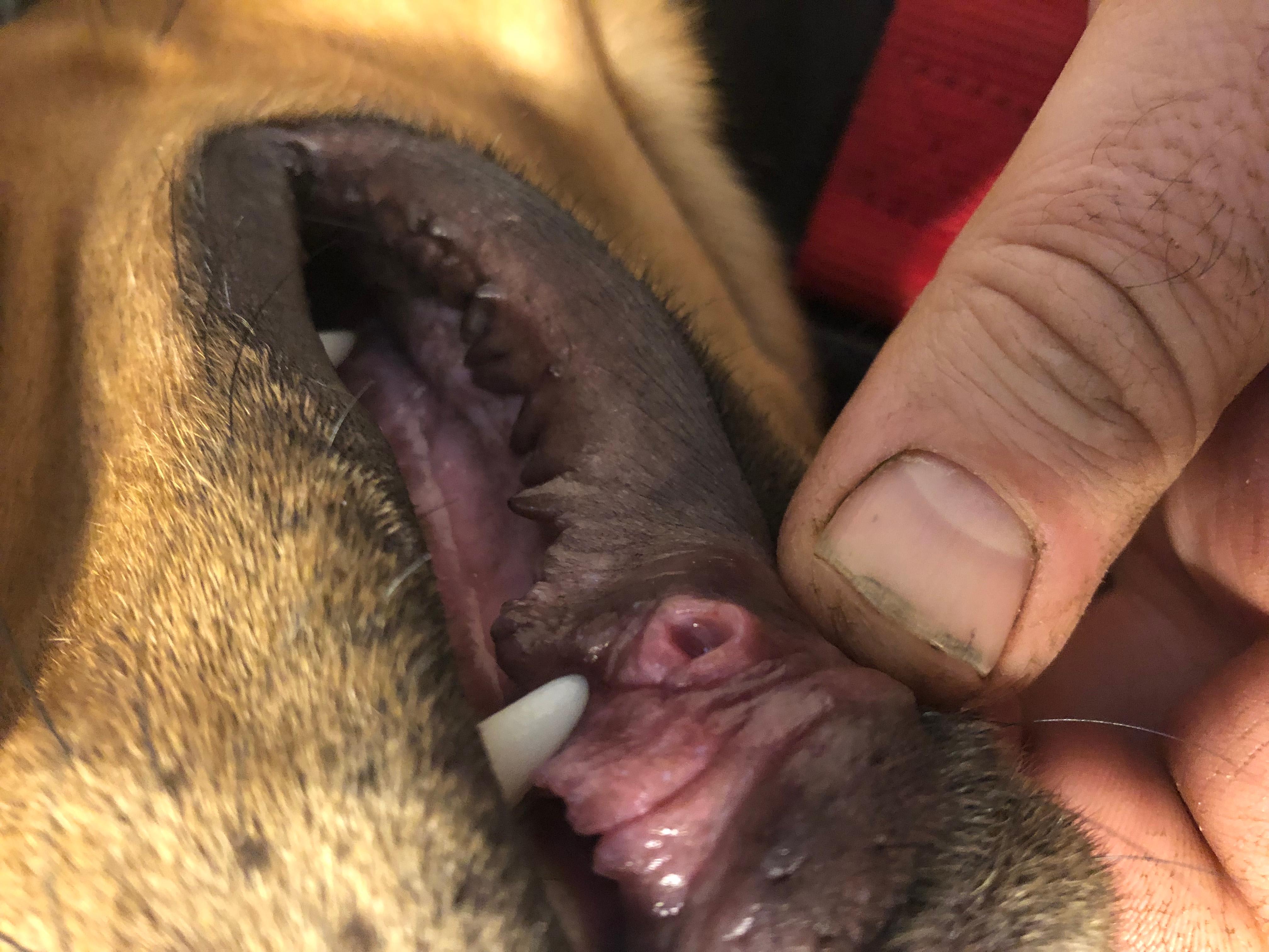 Question details sensitive content