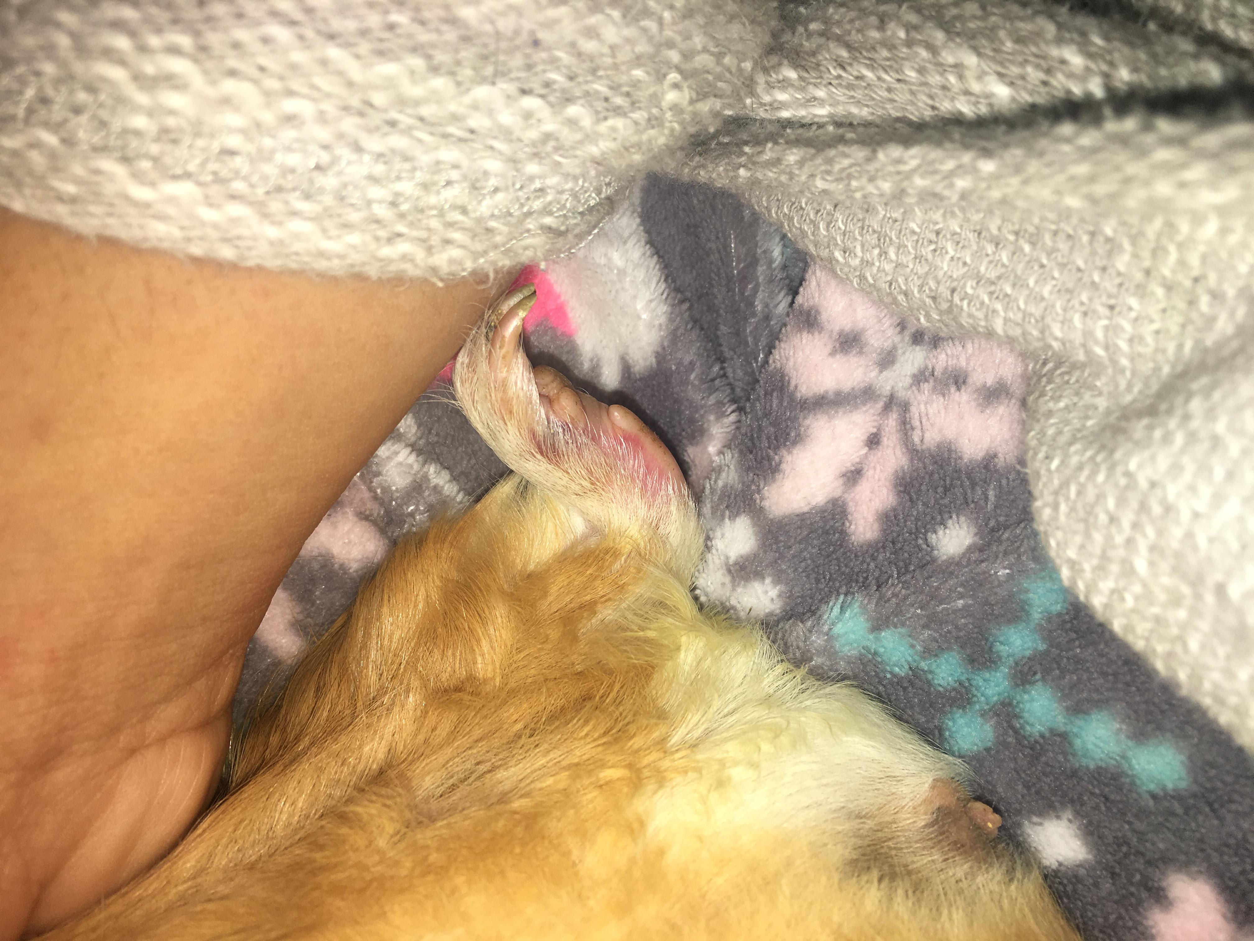 Question details sensitive content