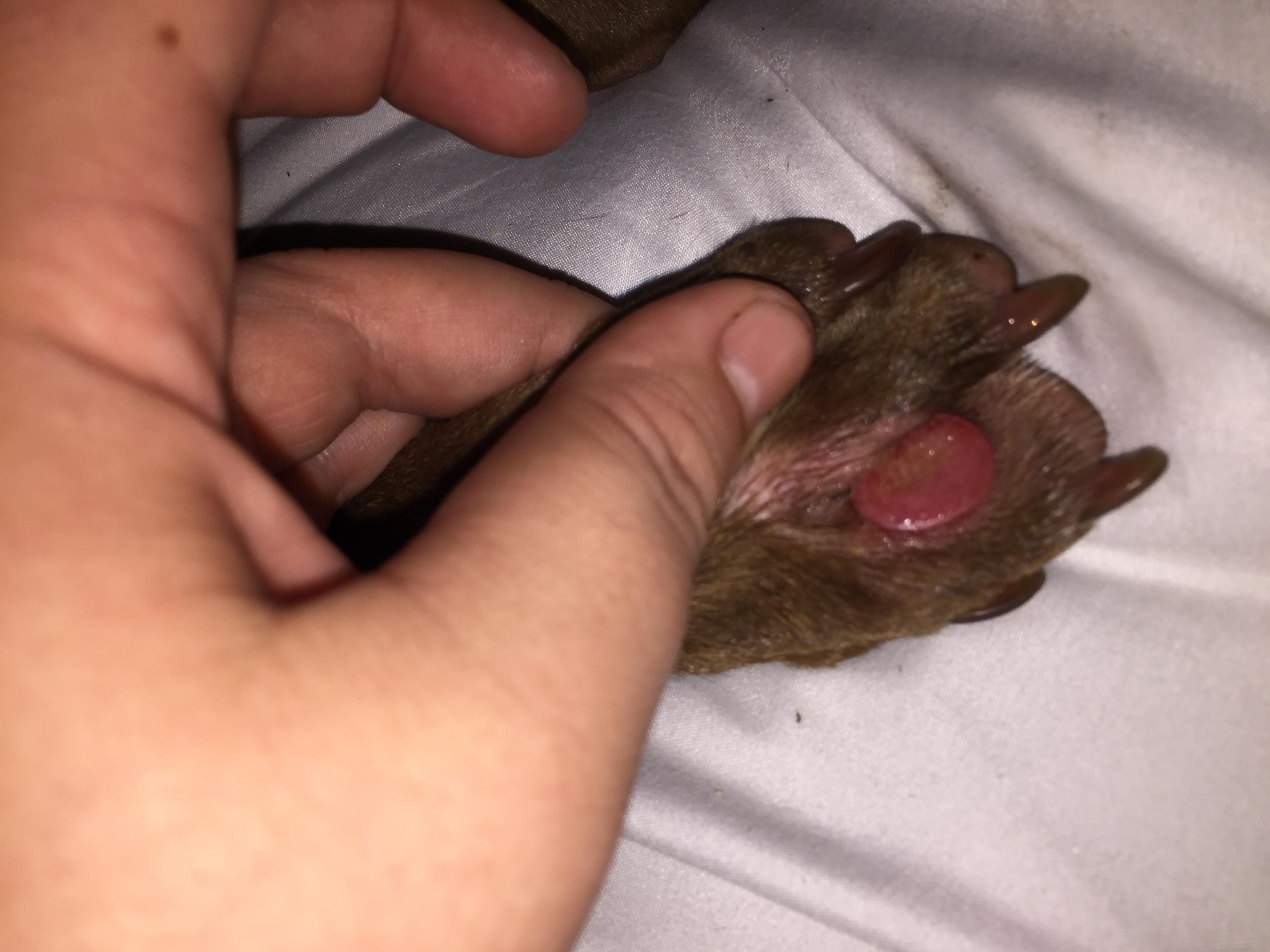 Question details sensitive content