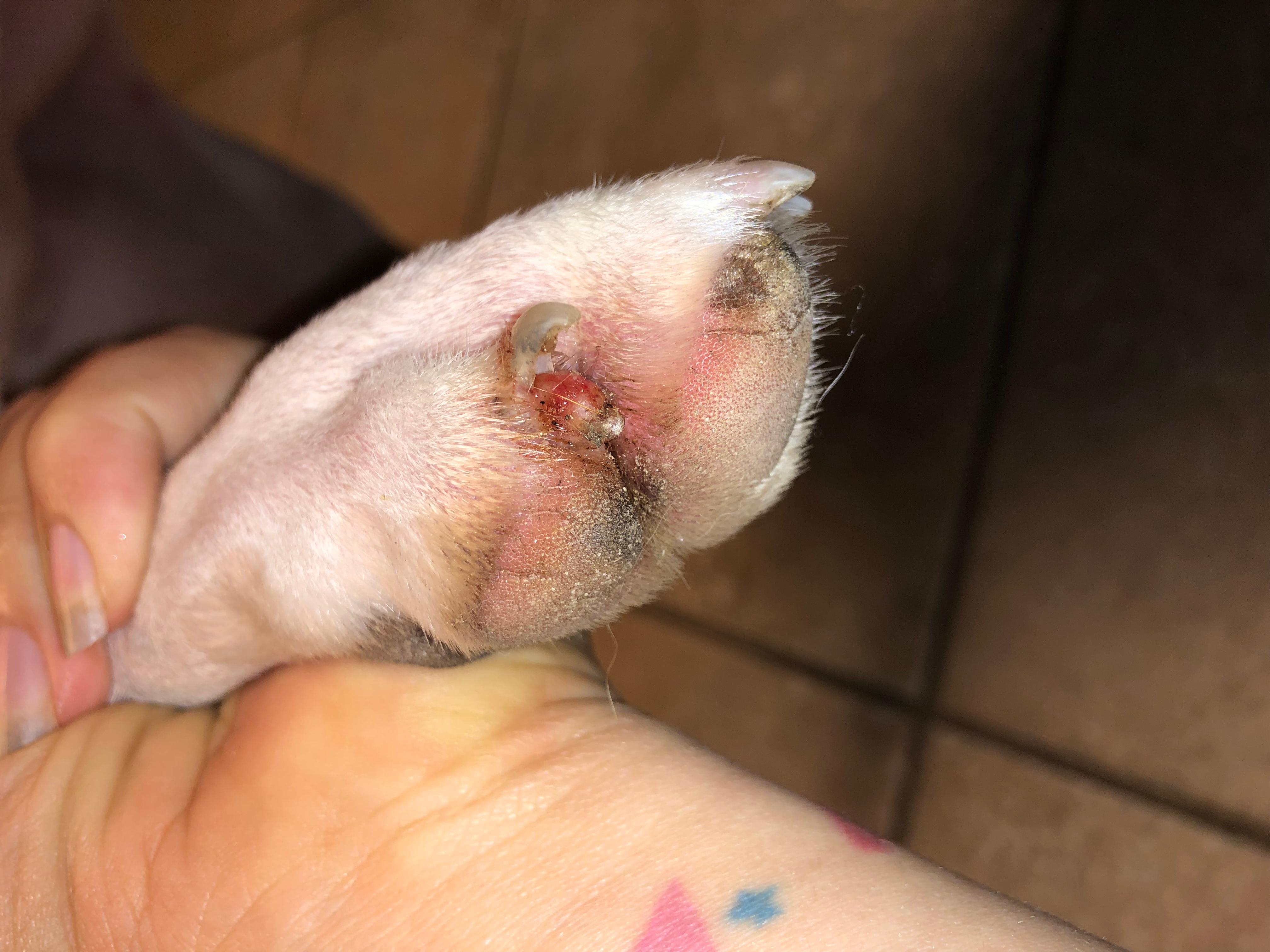 Question details sensitive content