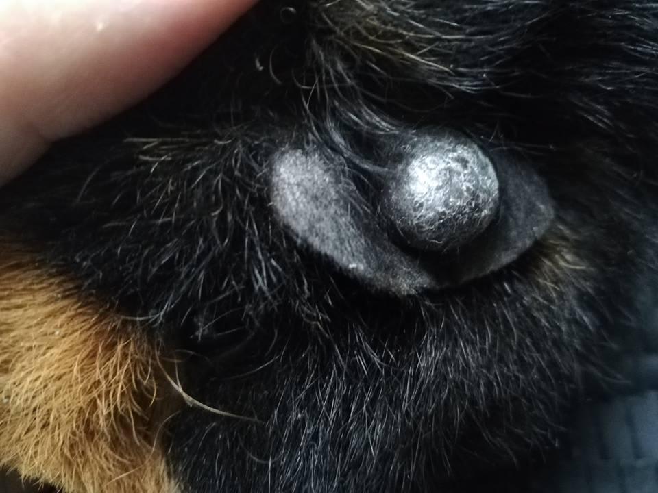 Question details sensitive content