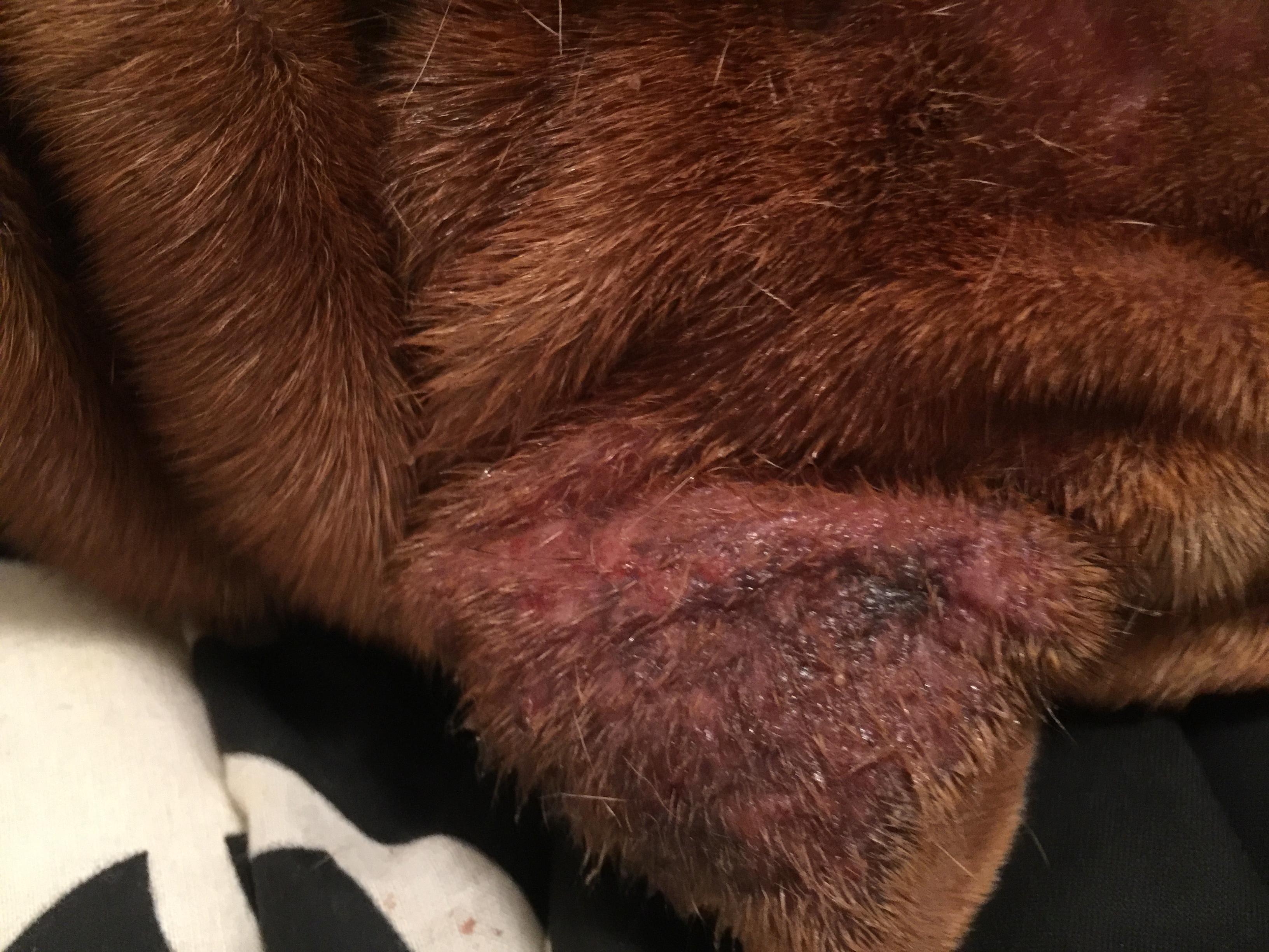 Question details sensitive content