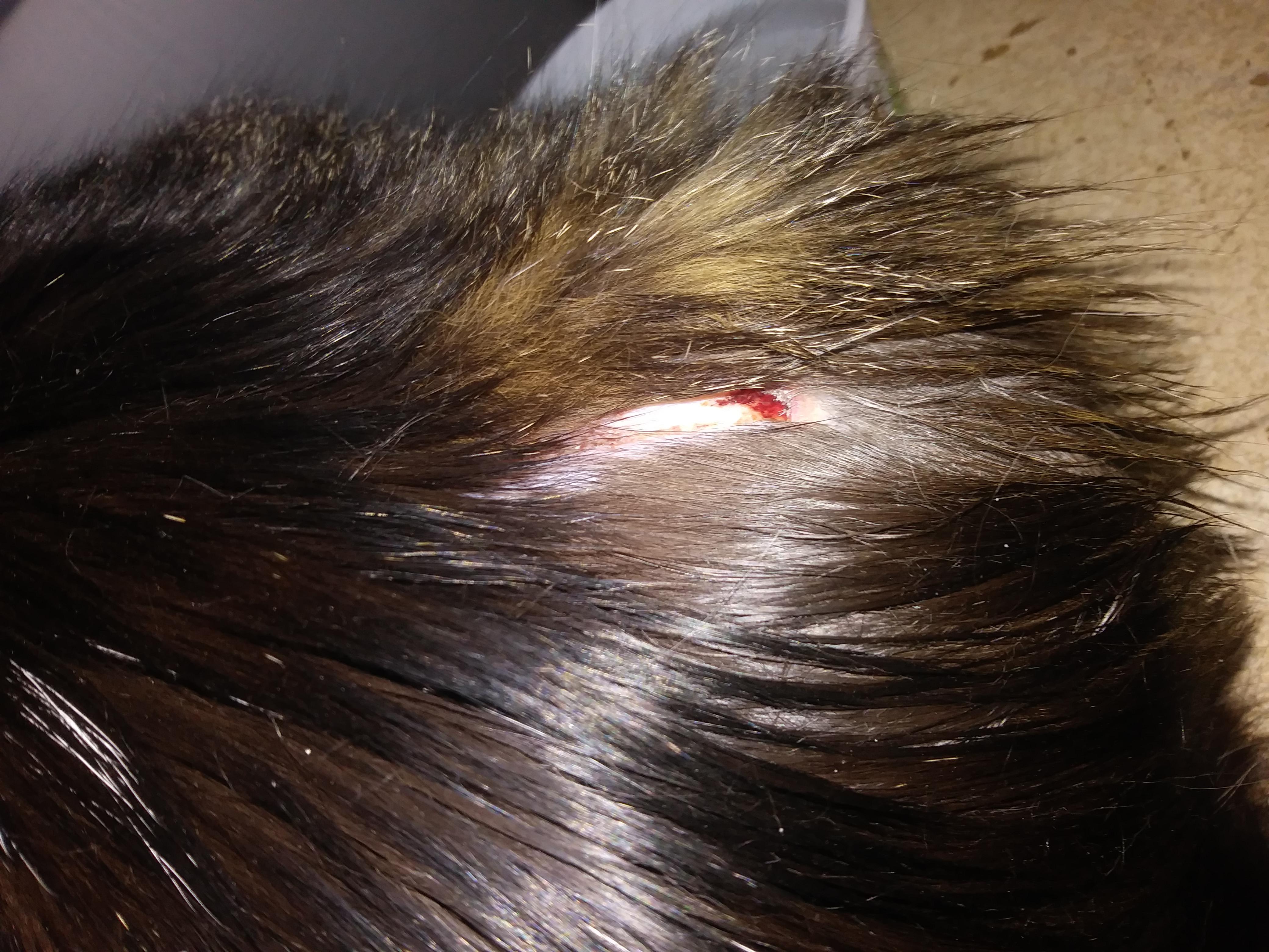 Question details sensitive content