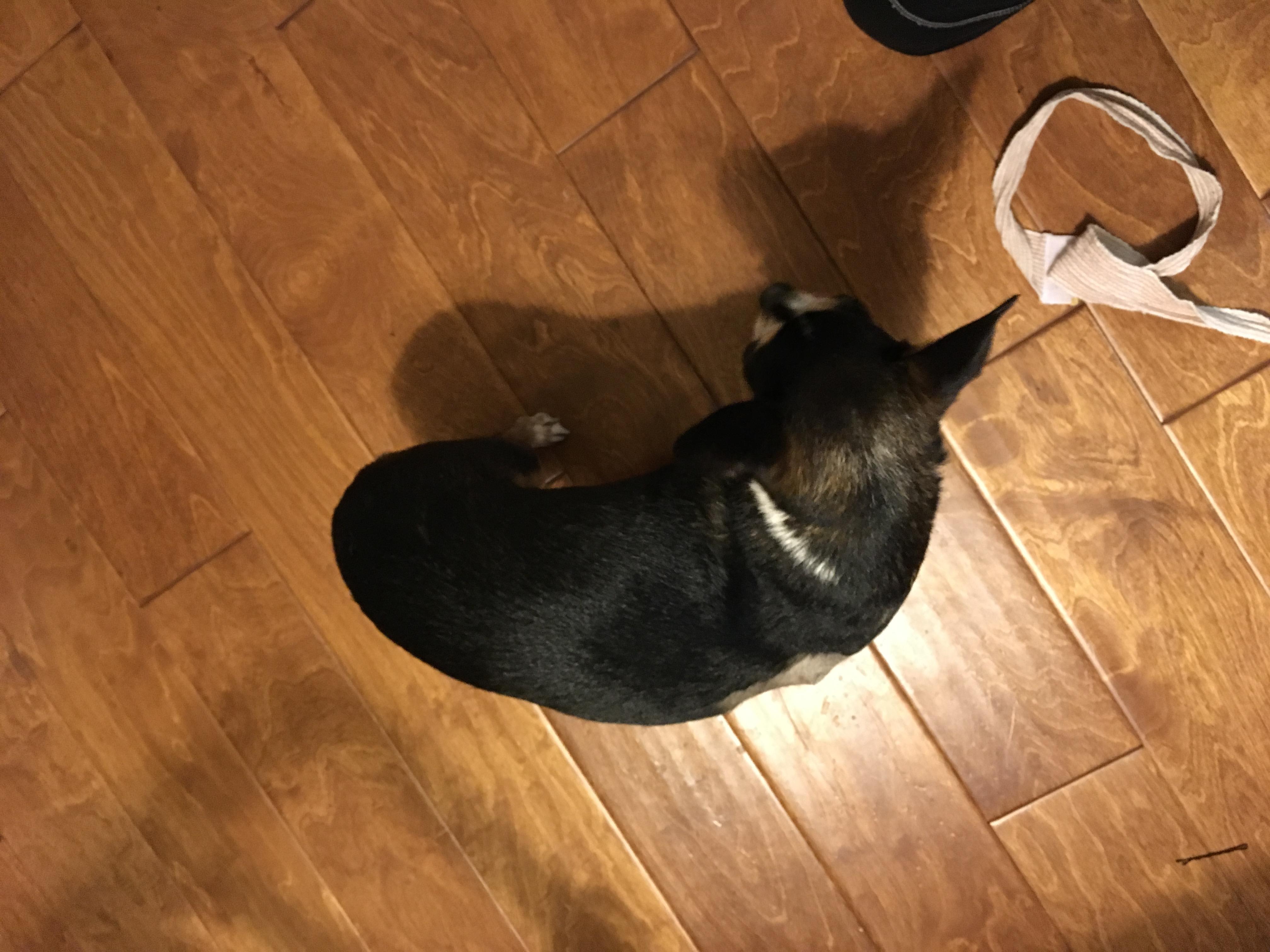 Question details sensitive content