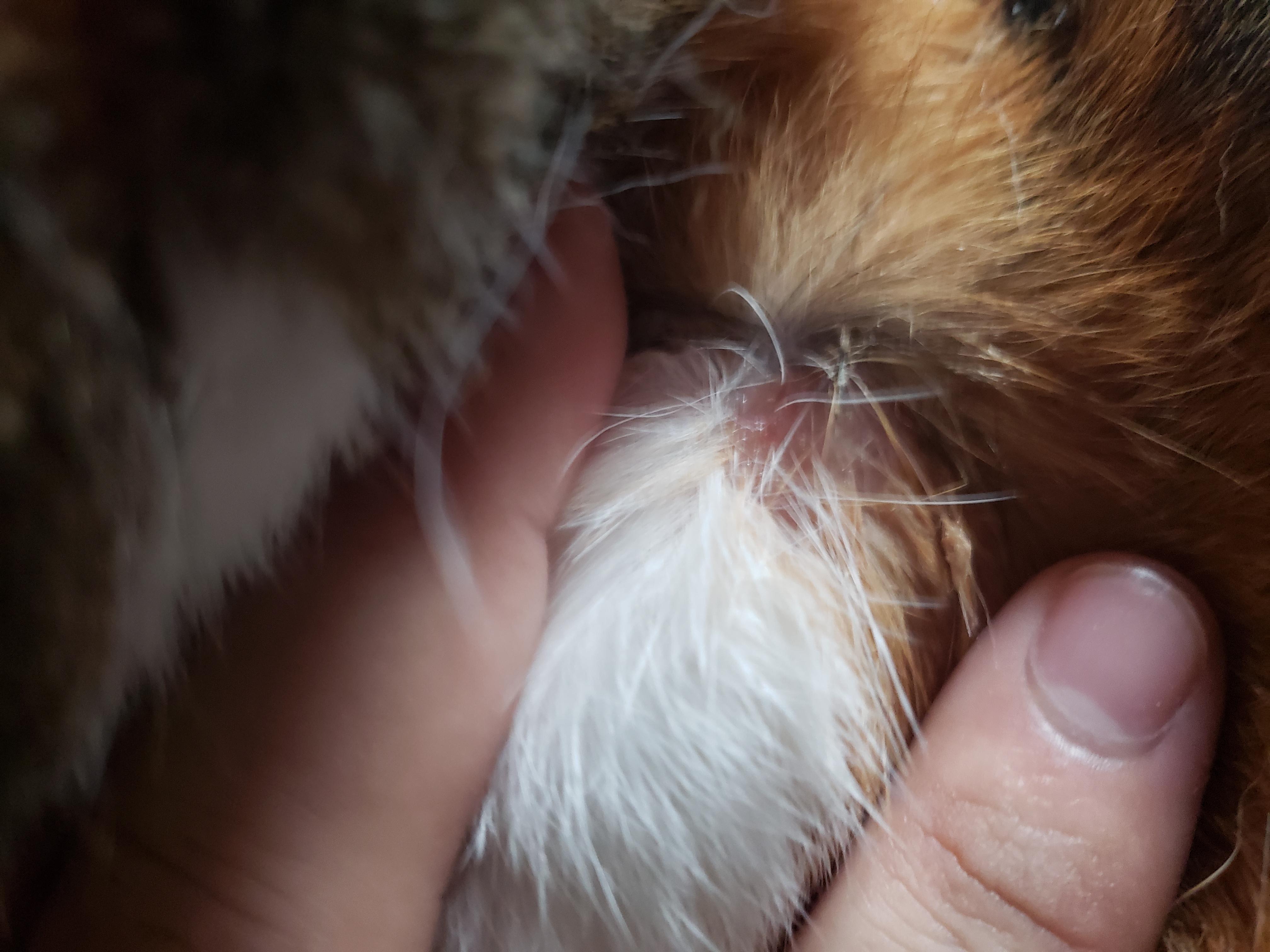 Question details sensitive content