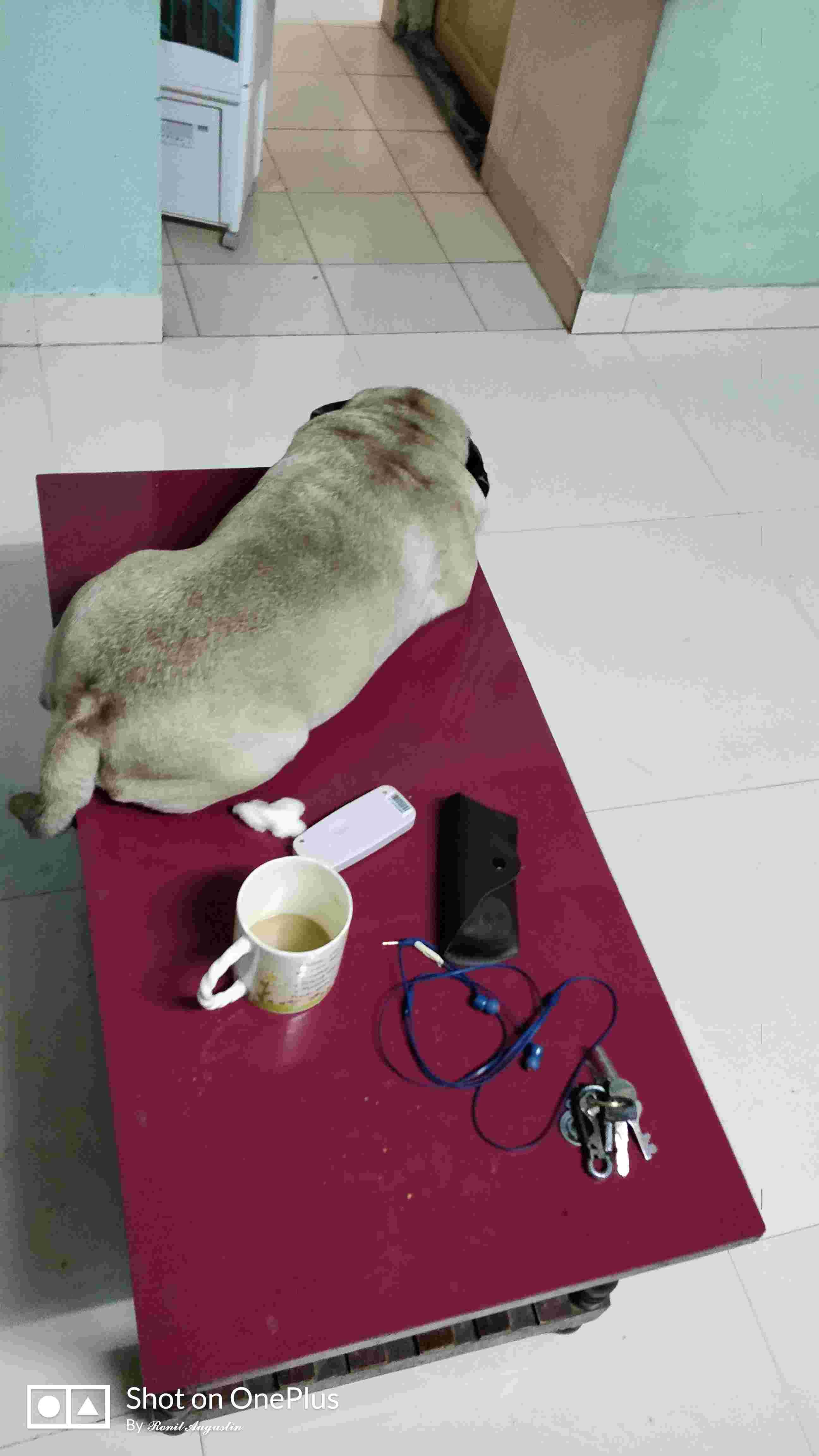 Question details sensitive content