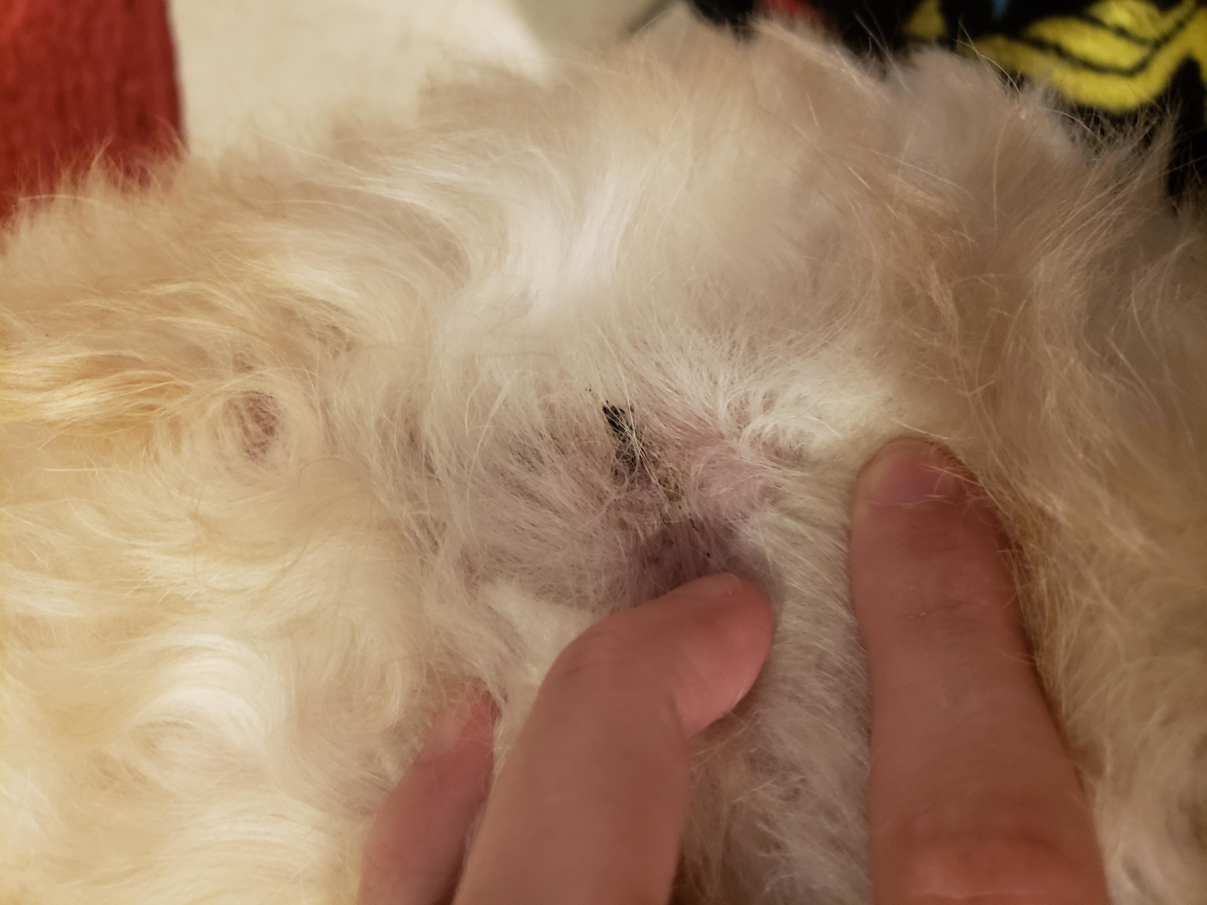 Question details sensitive content