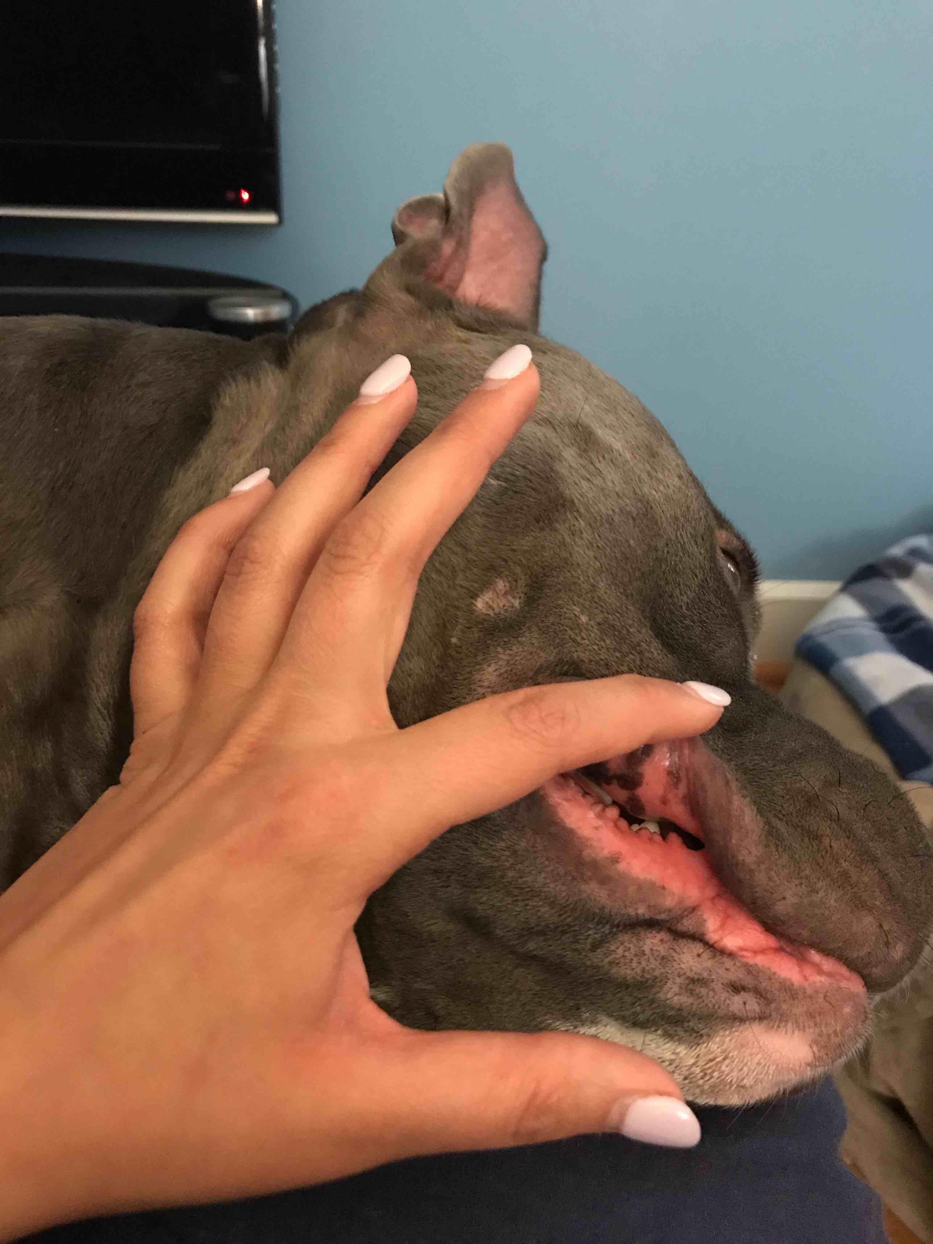 Question details sensitive content