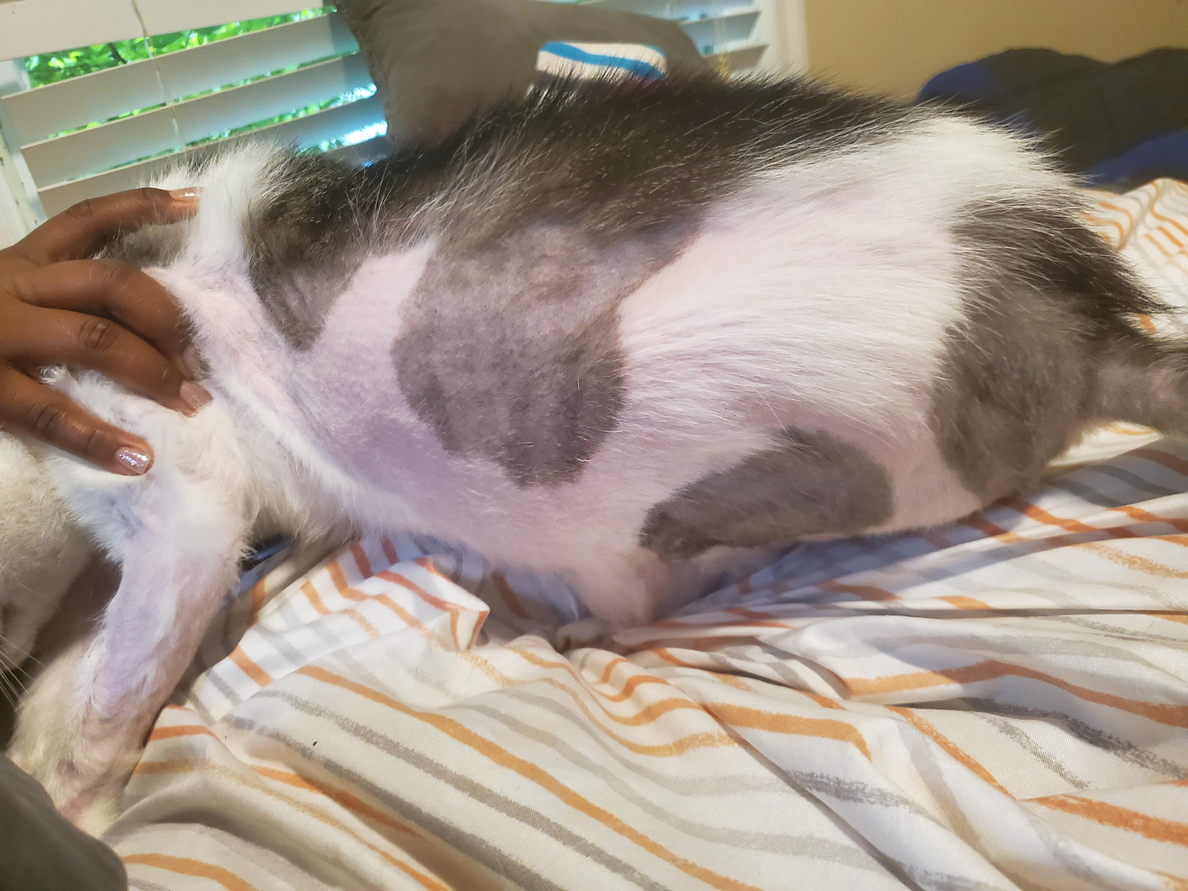 Question details sensitive content