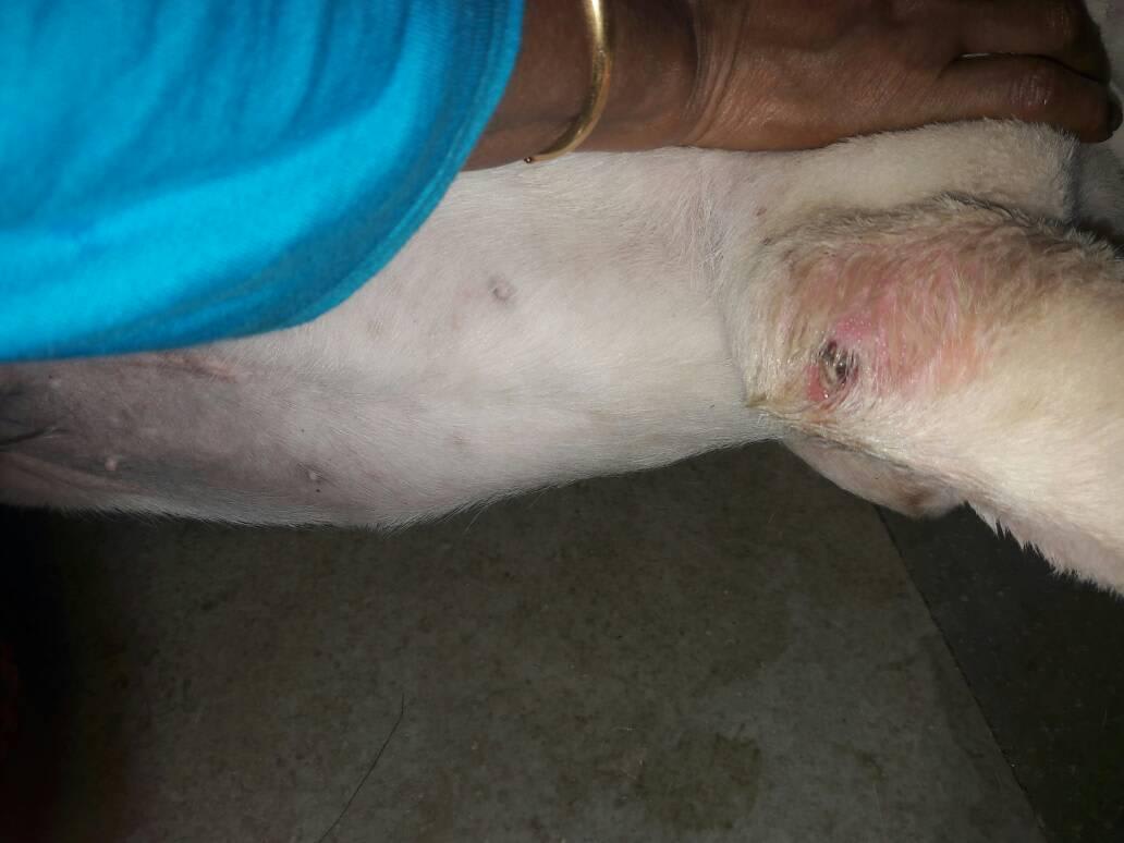 Question details sensitive content