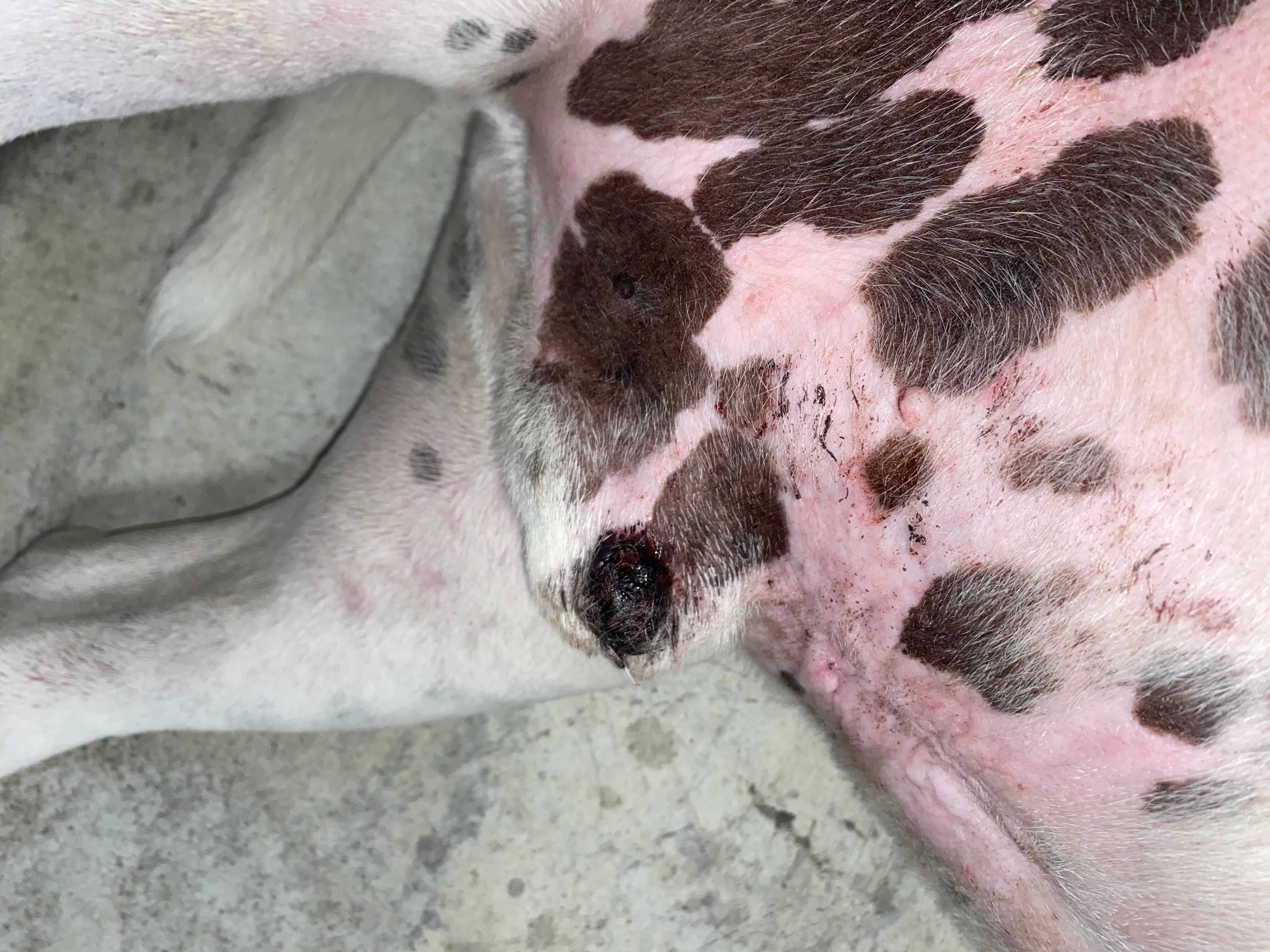 Question details sensitive content