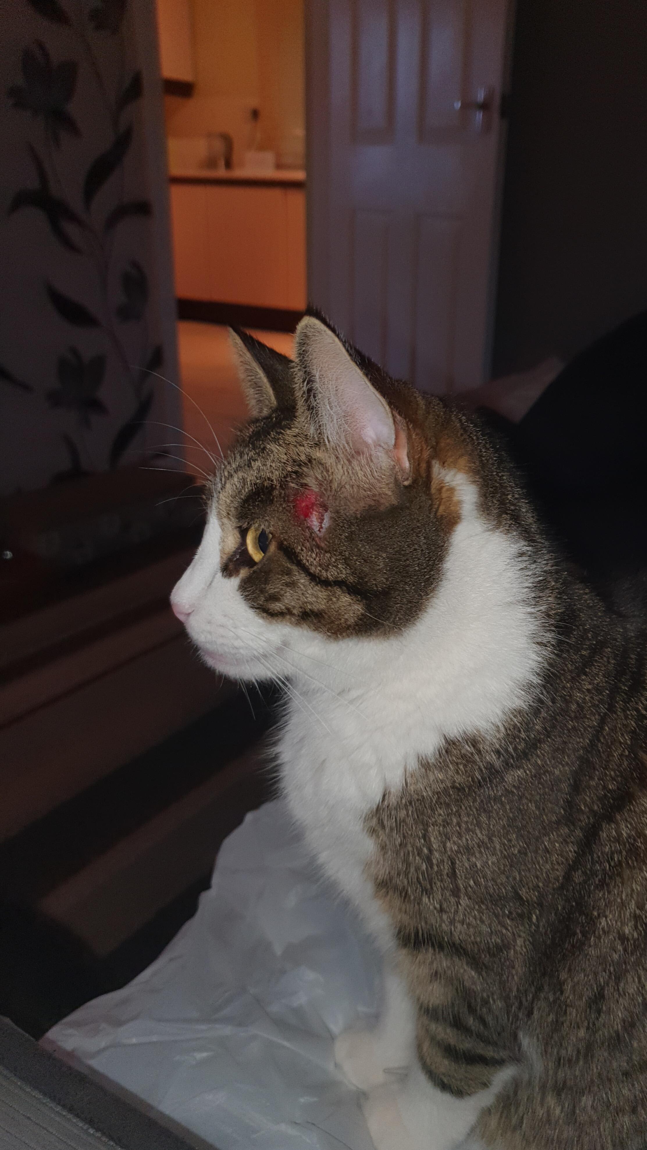 Question details sensitive content