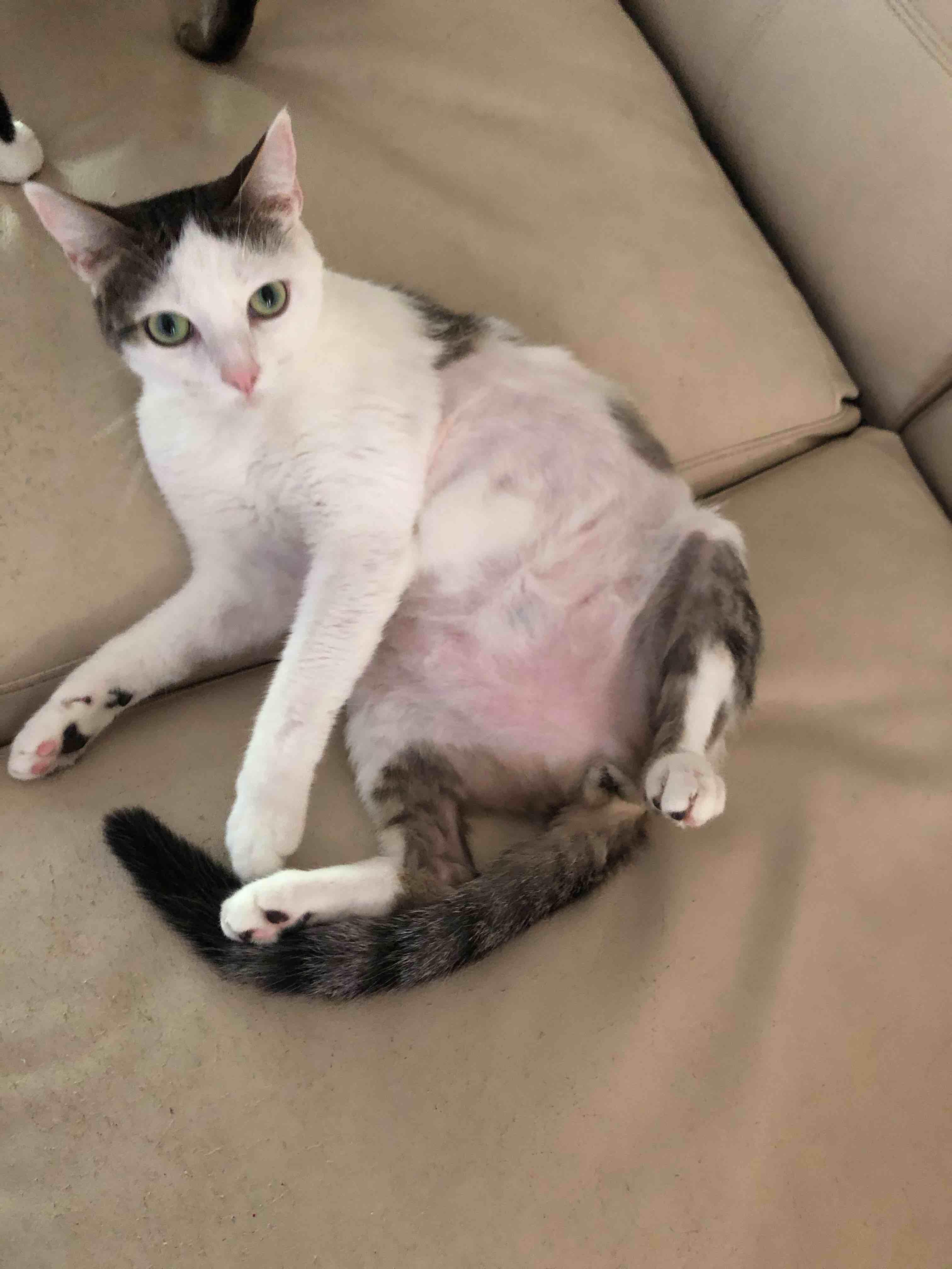 Question details sensitive content