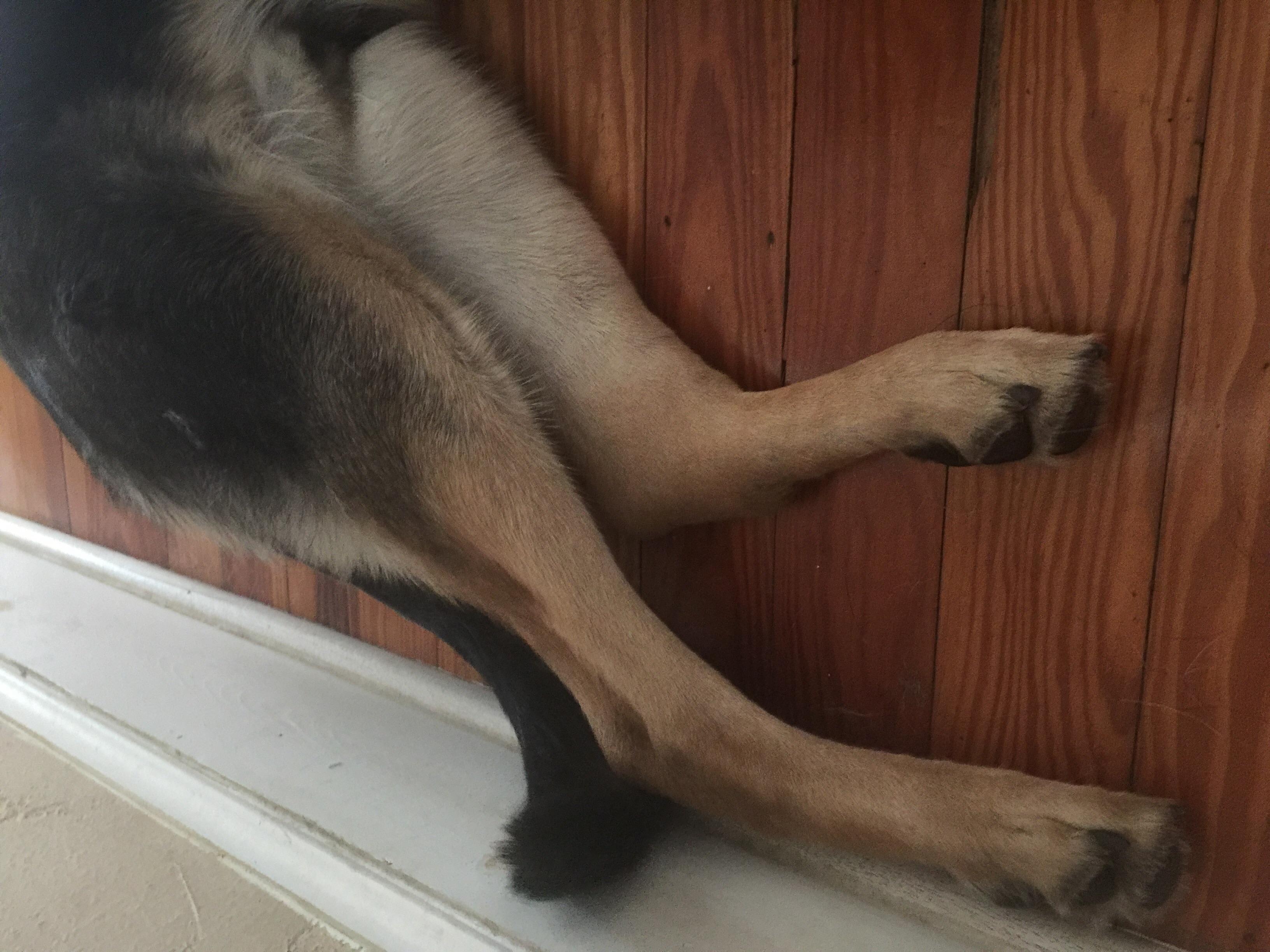 Question details sensitive content